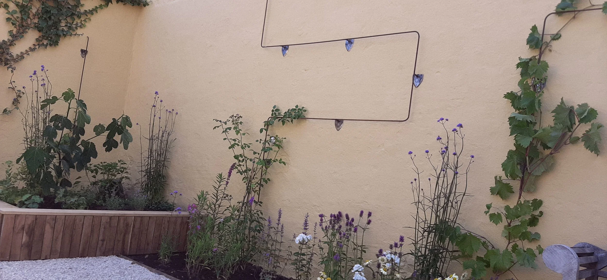 klimgeleiding op maat