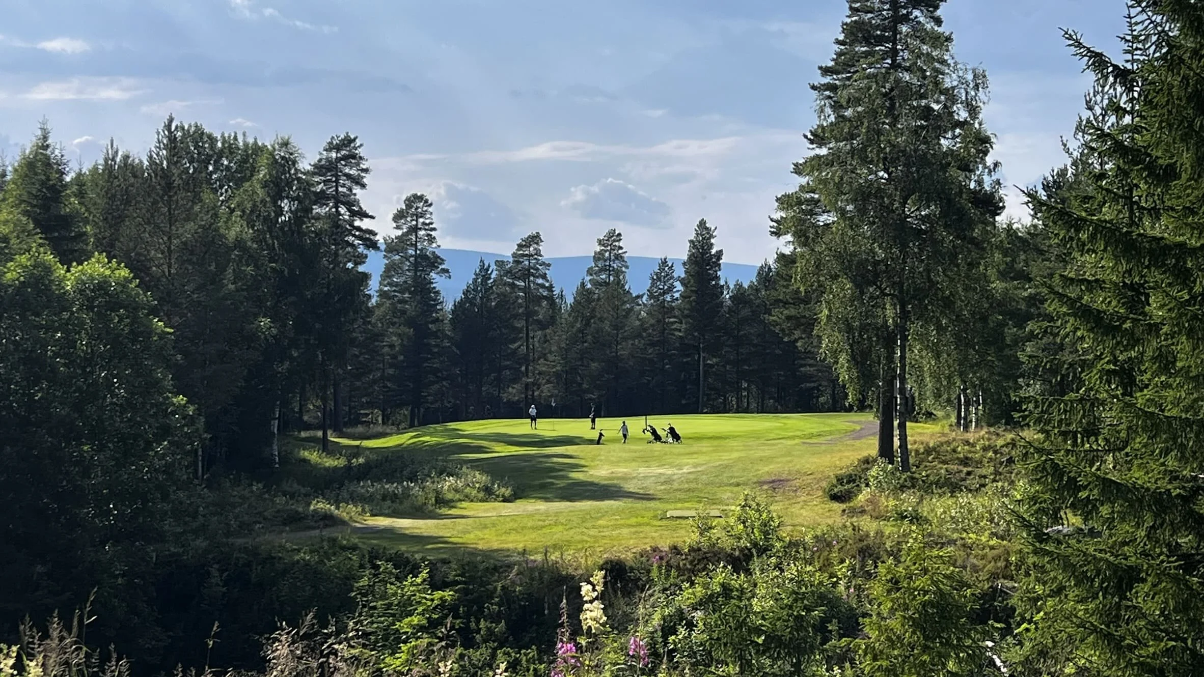 Golfsommaren 2025