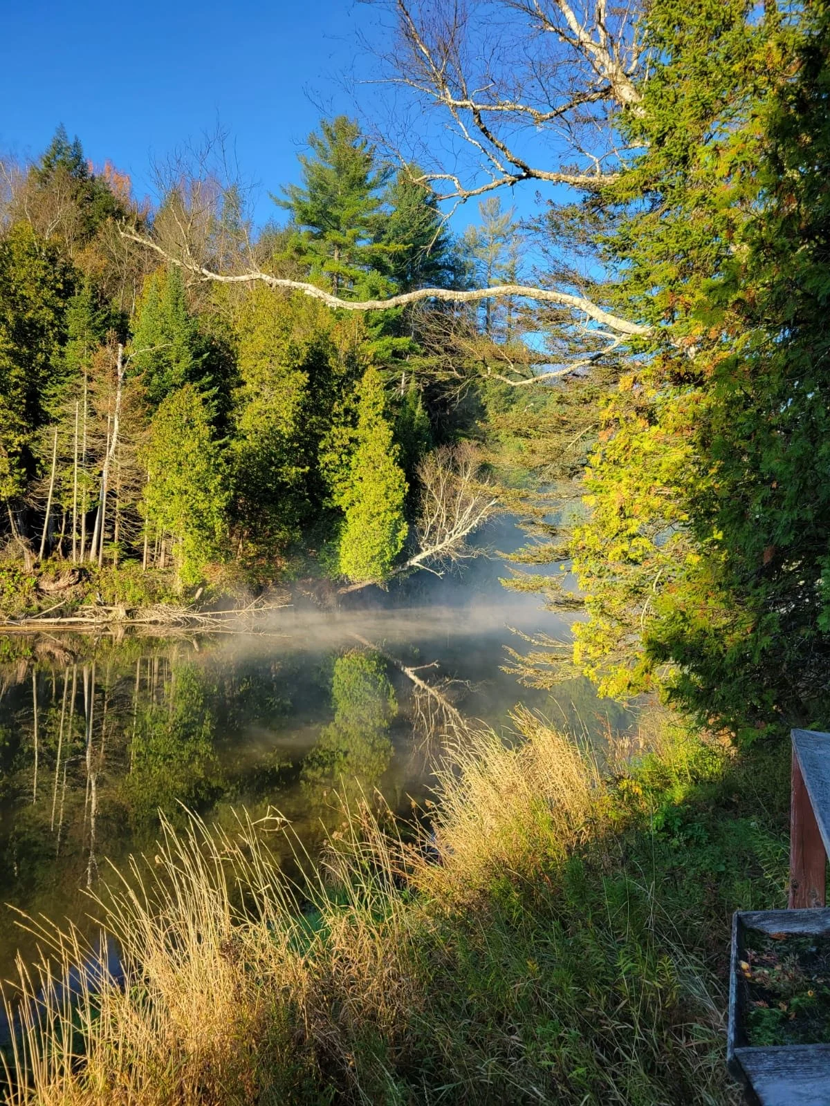 How I Ended Up With a Place Called Utopia