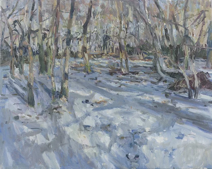 Sunlit snow-covered forest trail with leafless trees and patches of brown earth visible.