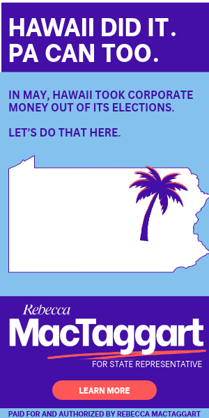 People First, Money Out - Hawaii Did It - 300x600.png