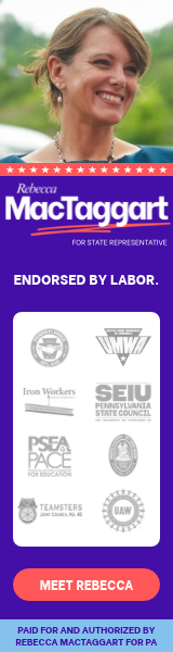 Get to know Rebecca - Endorsed by Labor - 160x600.png