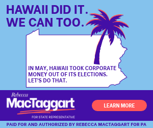 People First, Money Out - Hawaii Did It - 300x250.png
