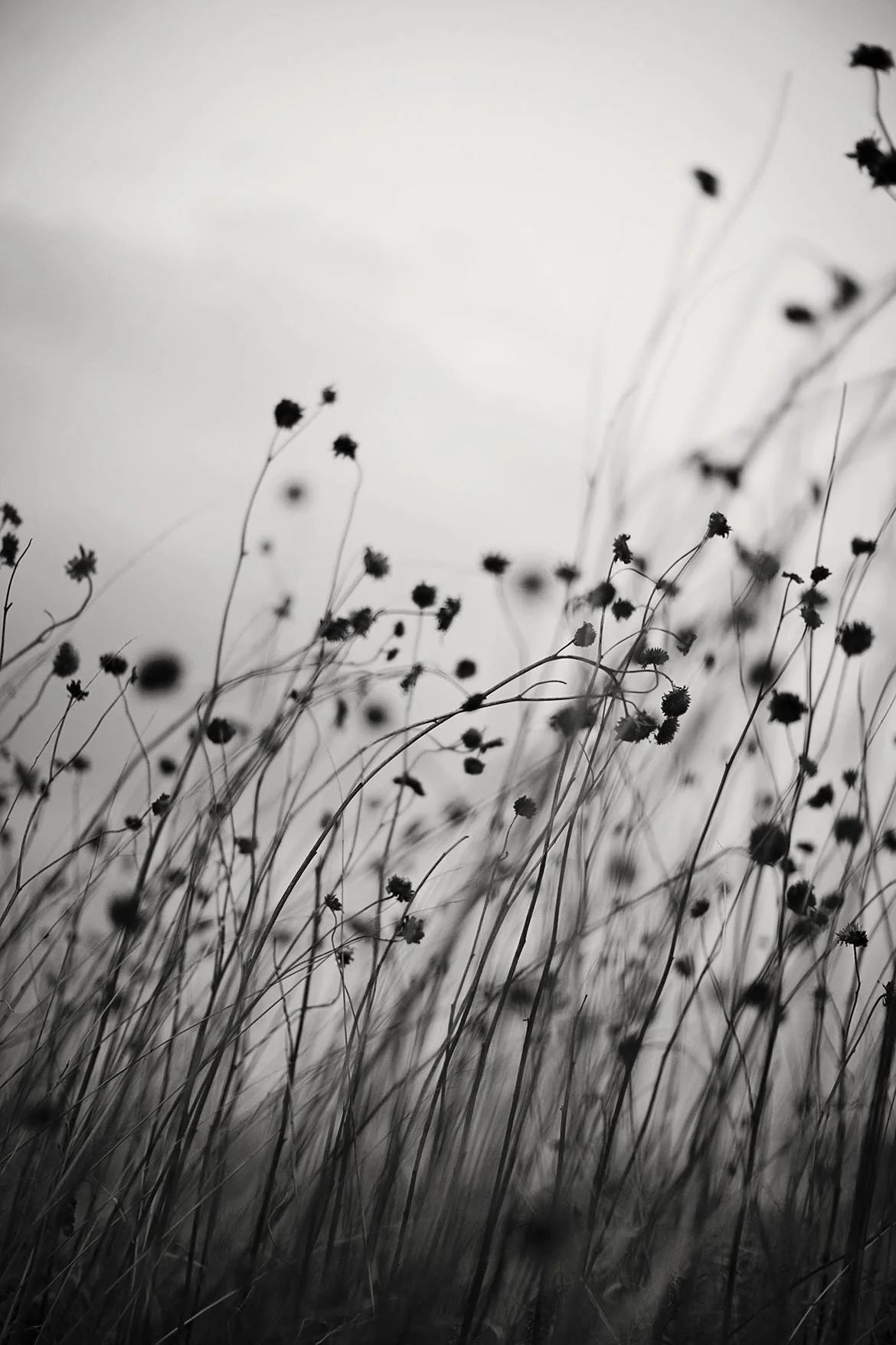 Kim Turner Smith_Marfa_Texas.jpg
