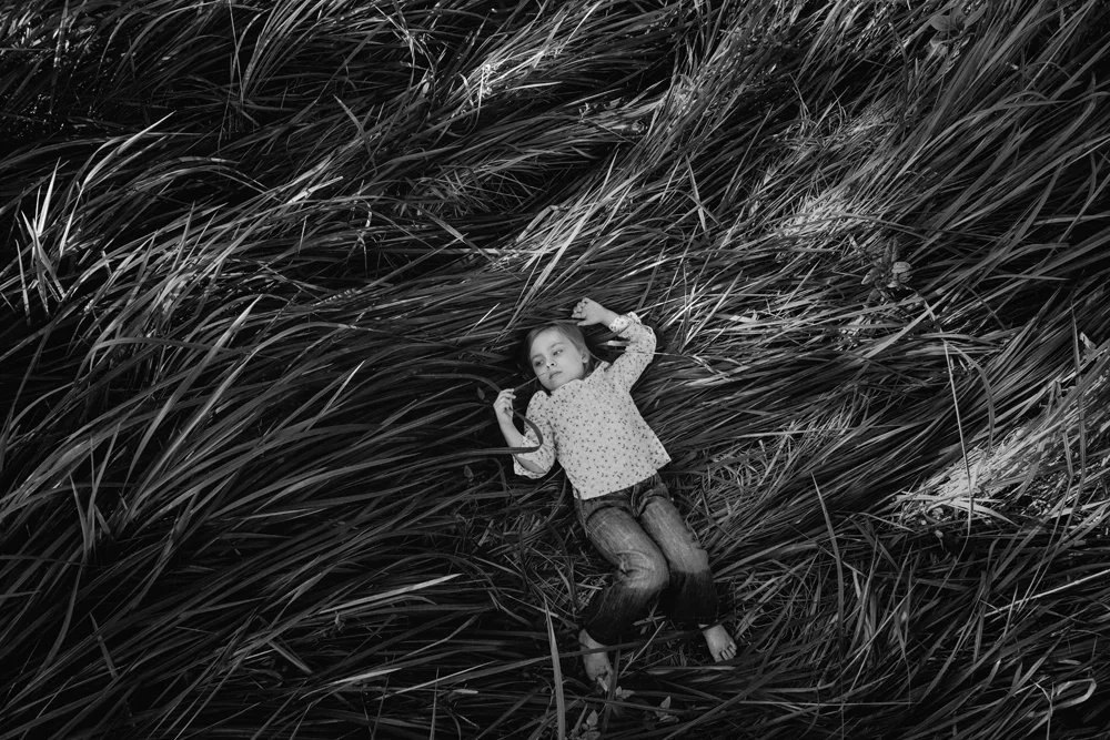 Tall+Grass.webp