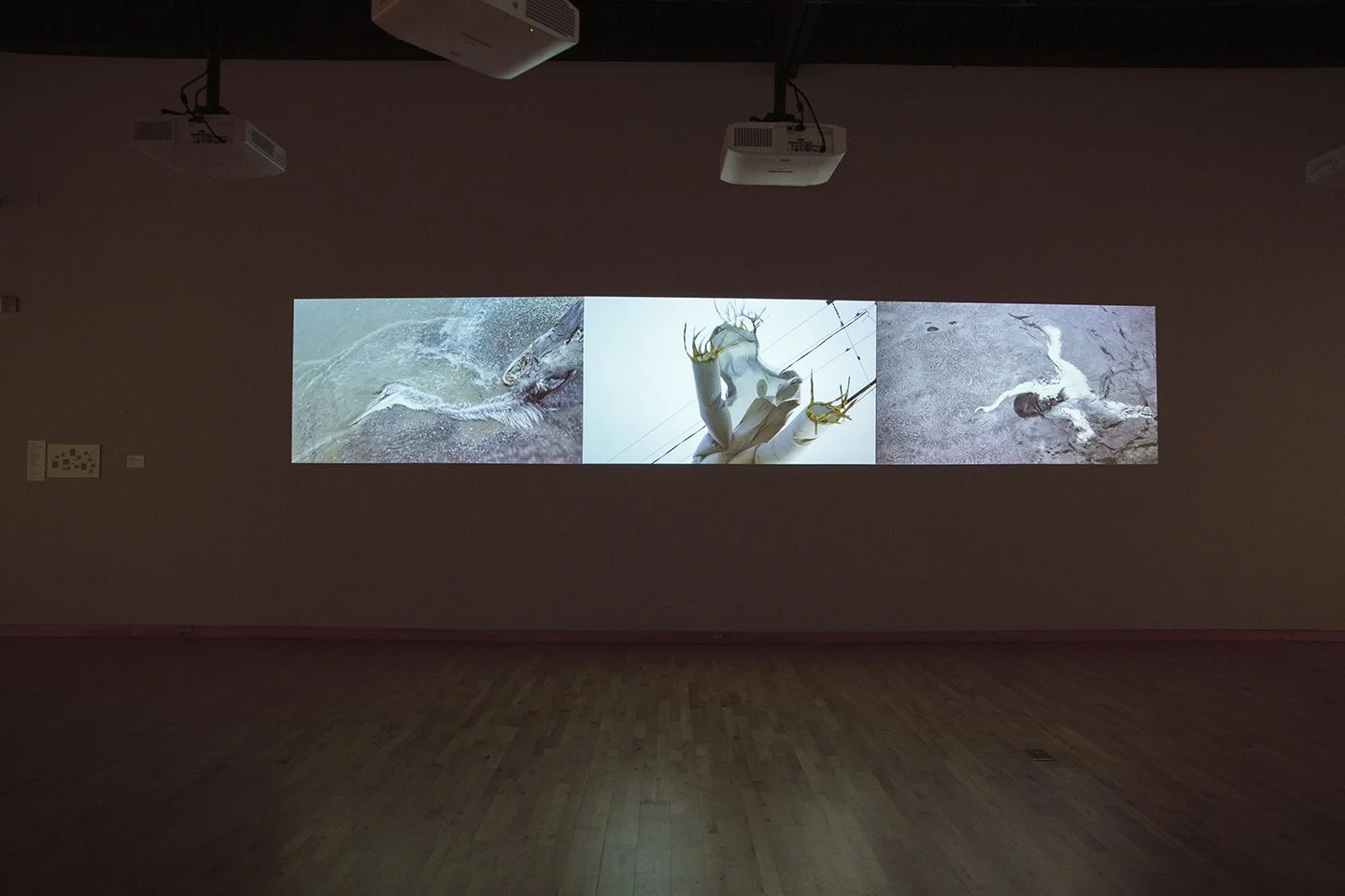 Kim Turner Smith_Install_.jpg