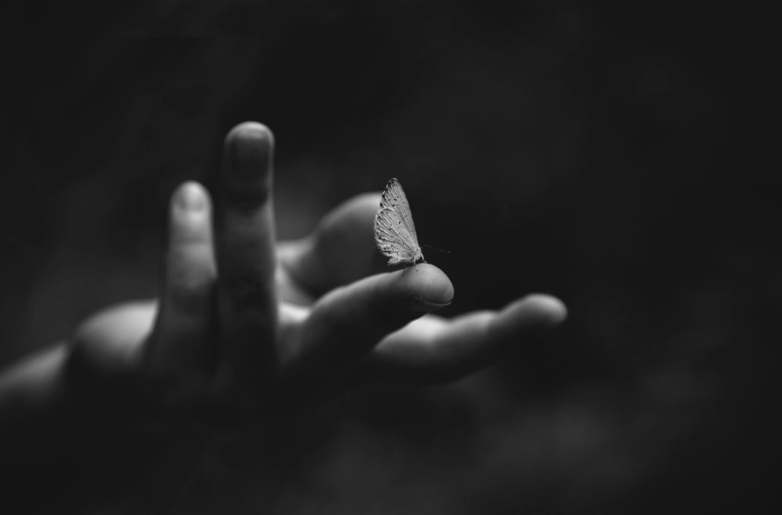 4J4B0475_re_edit_2019.jpg