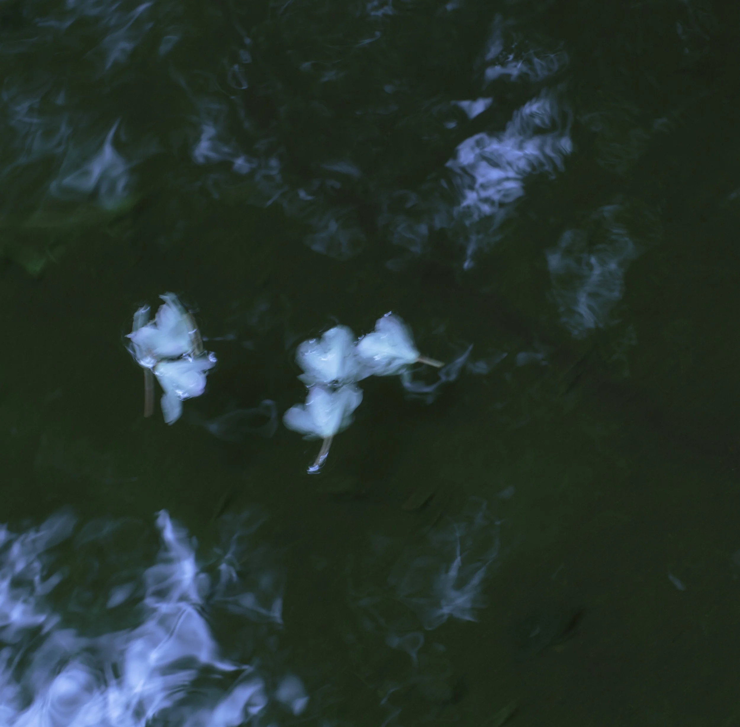 4J4B9601_sq.jpg