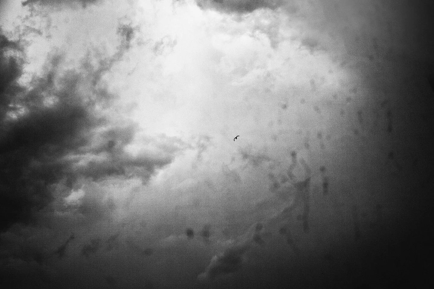 Kim Turner Smith_sky.jpg