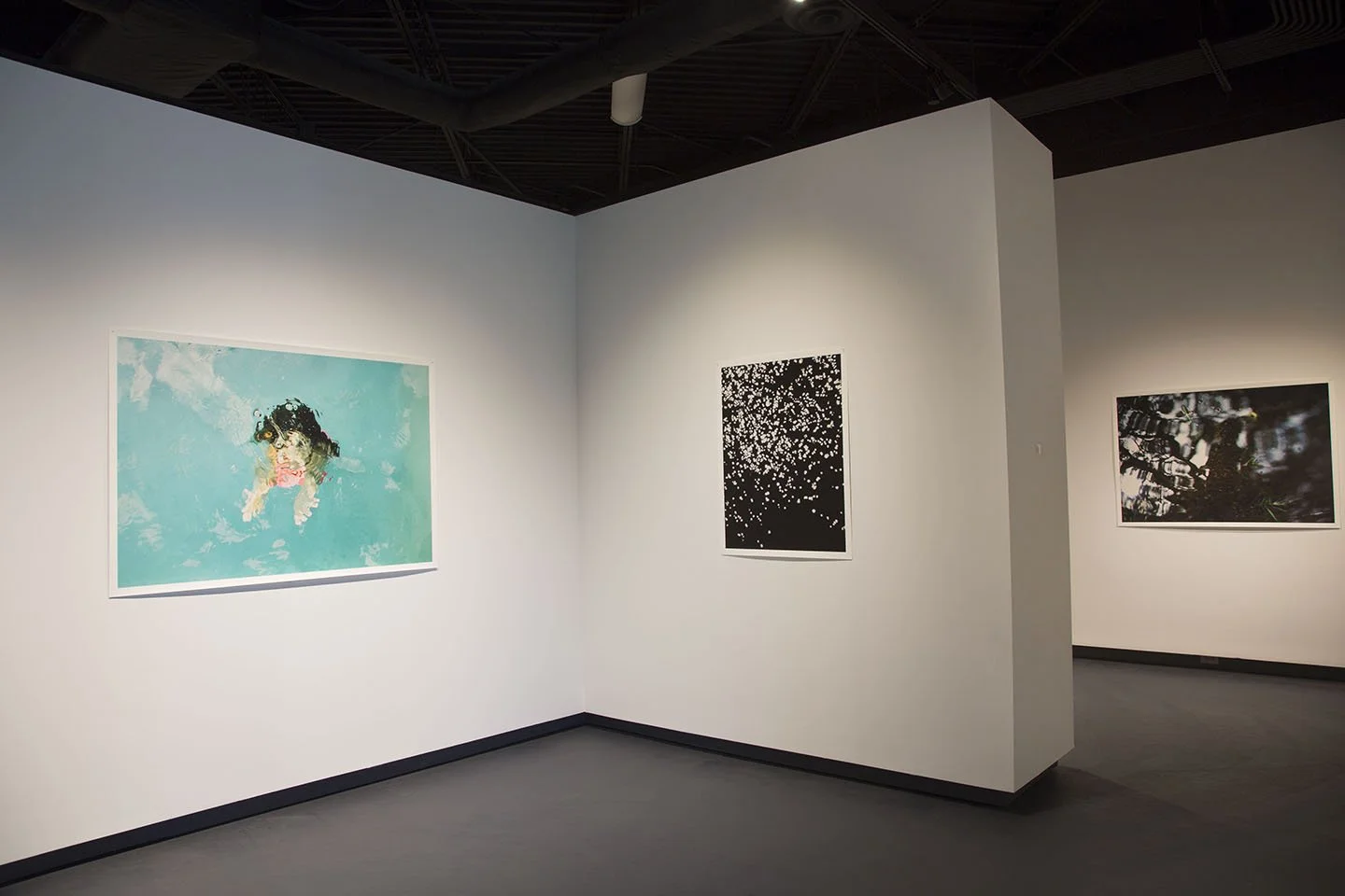 Kim Turner Smith Install.jpg