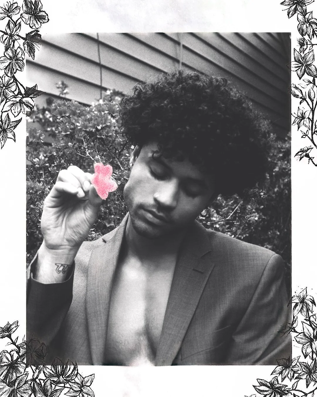 hereibloom-FINAL.jpg
