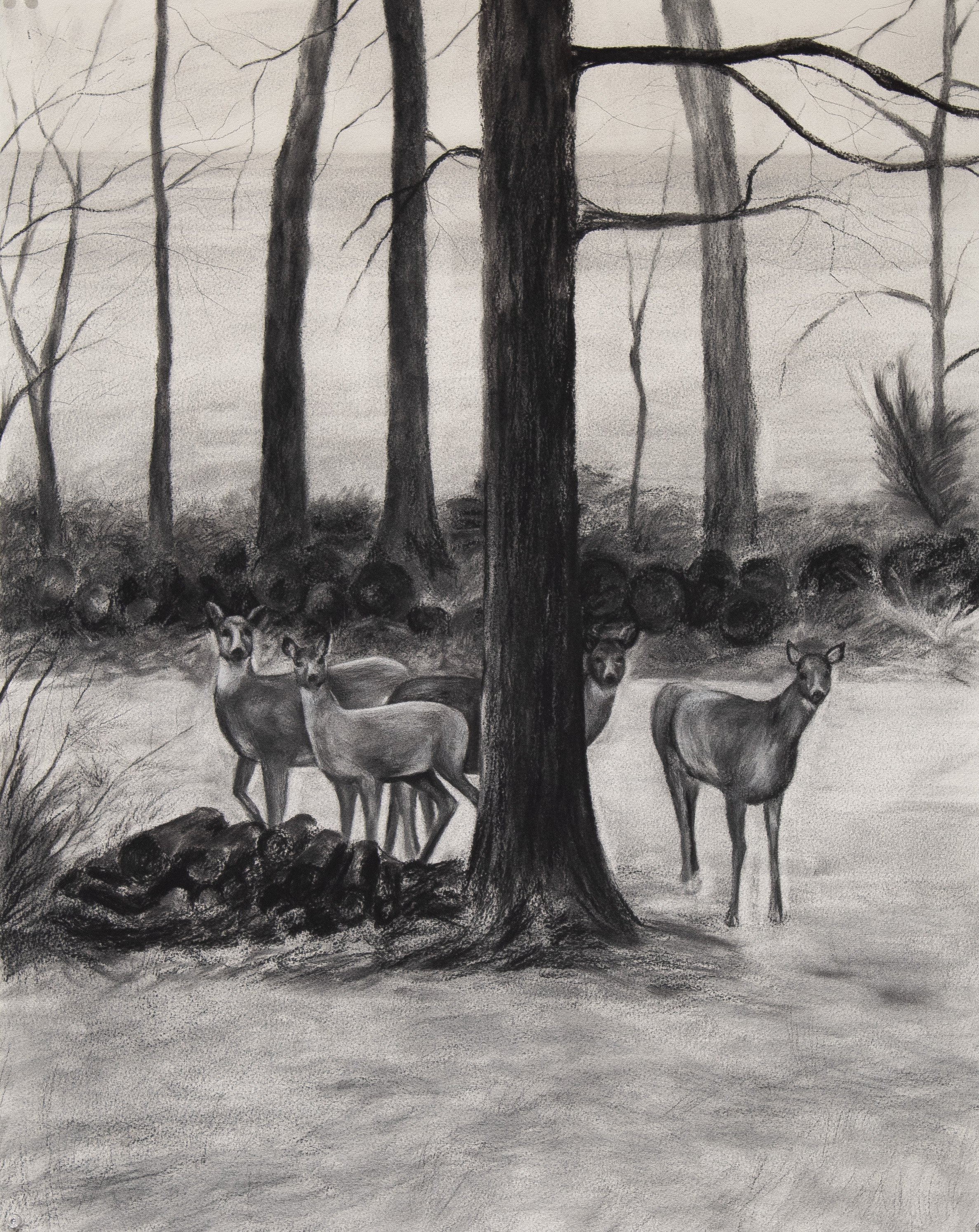 IMG_5480Extended Family.JPG