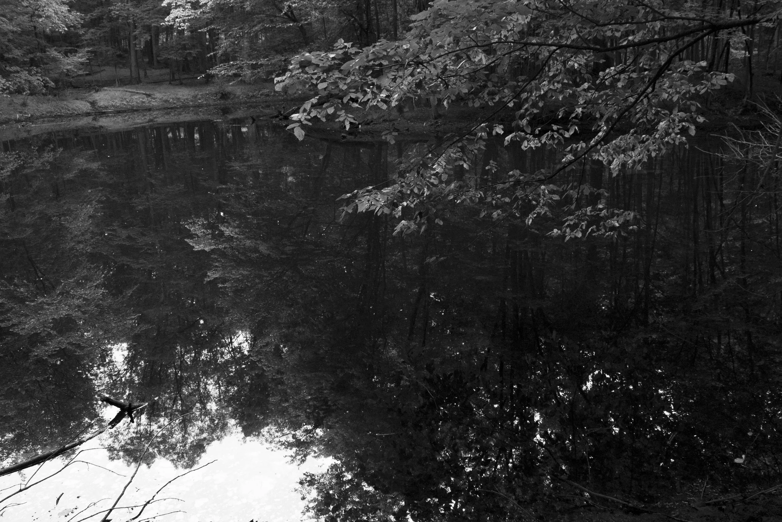 creek4.JPG