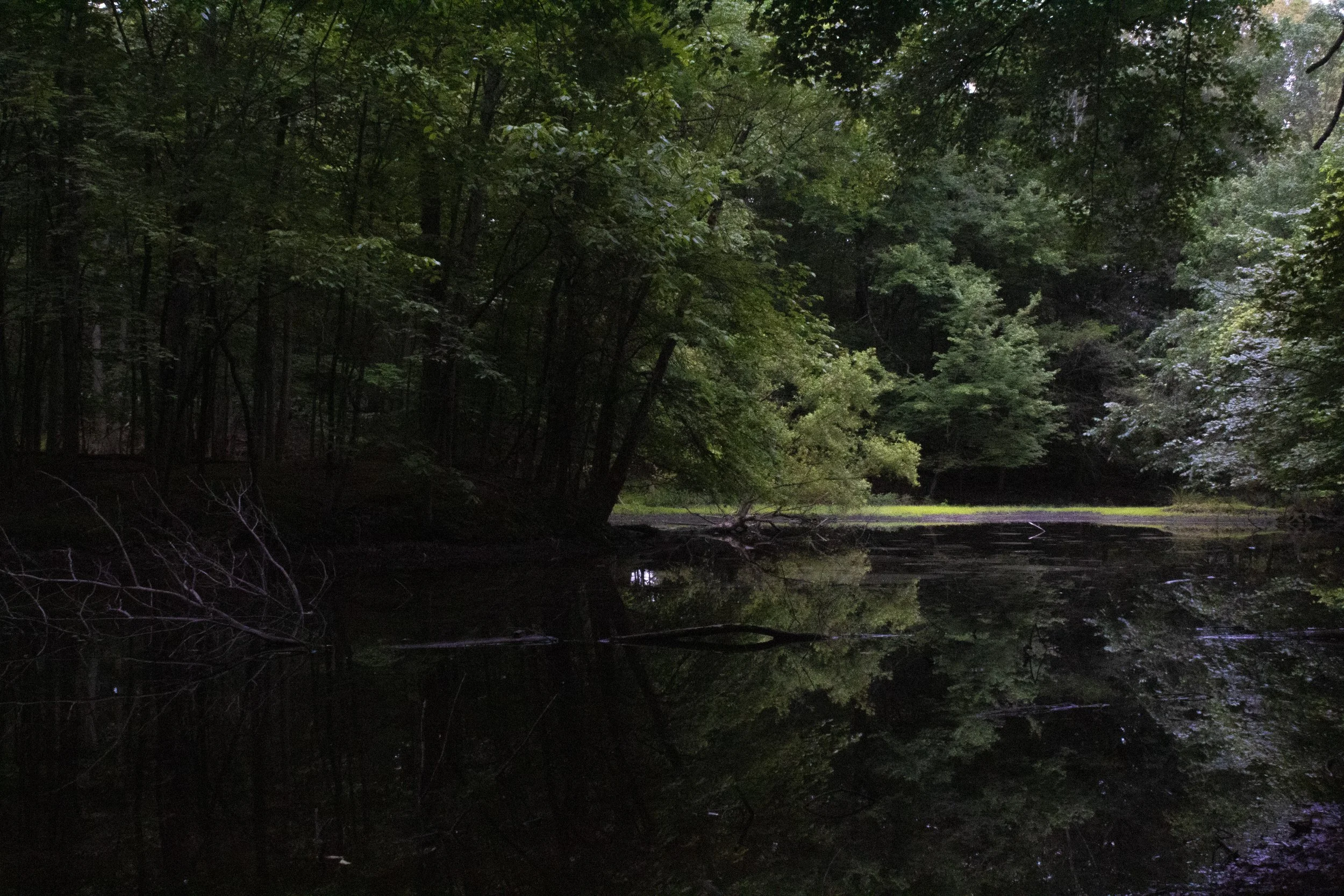 IMG_4267small-town-creek.JPG
