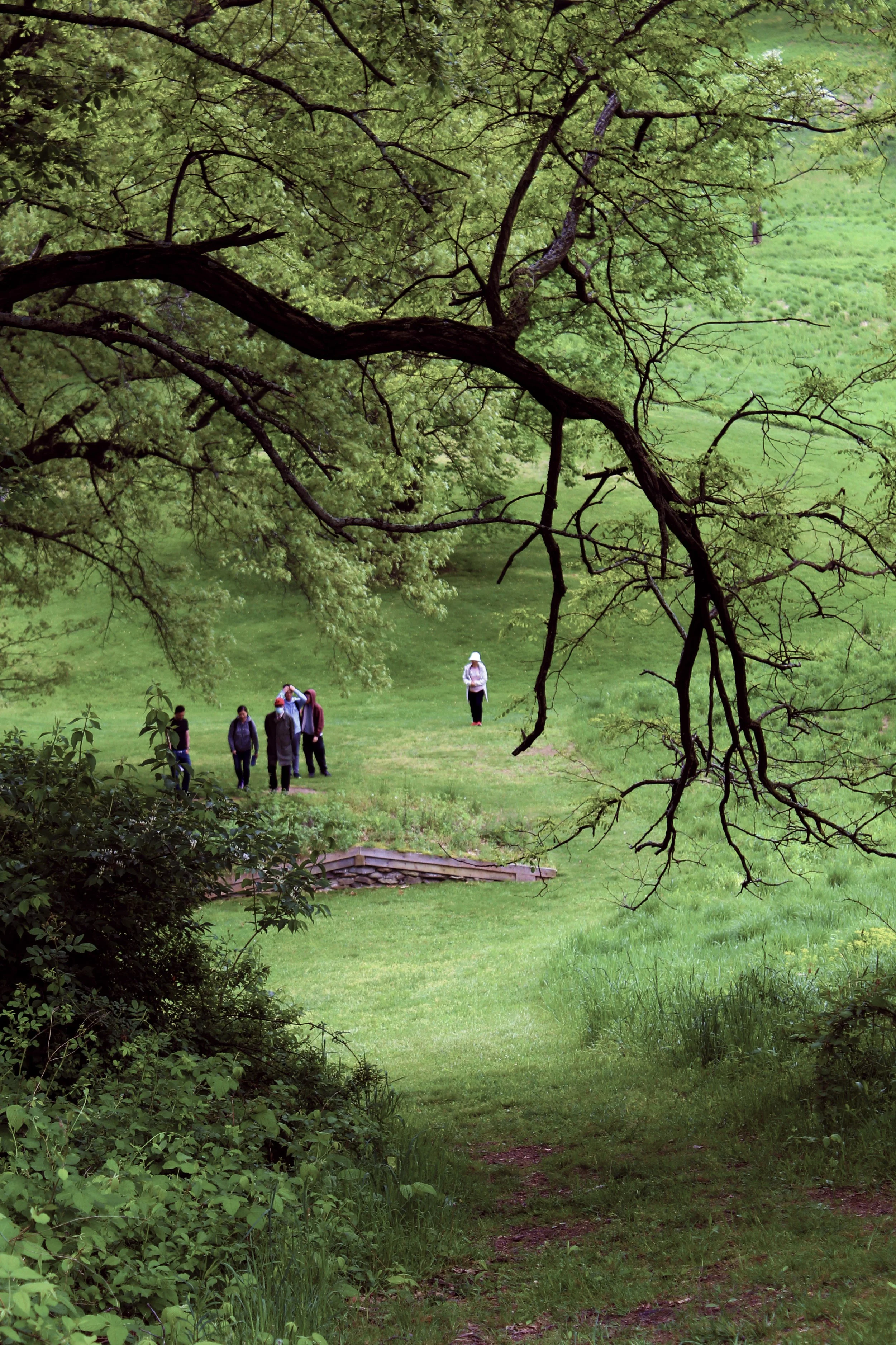 storm-king-trail.jpg