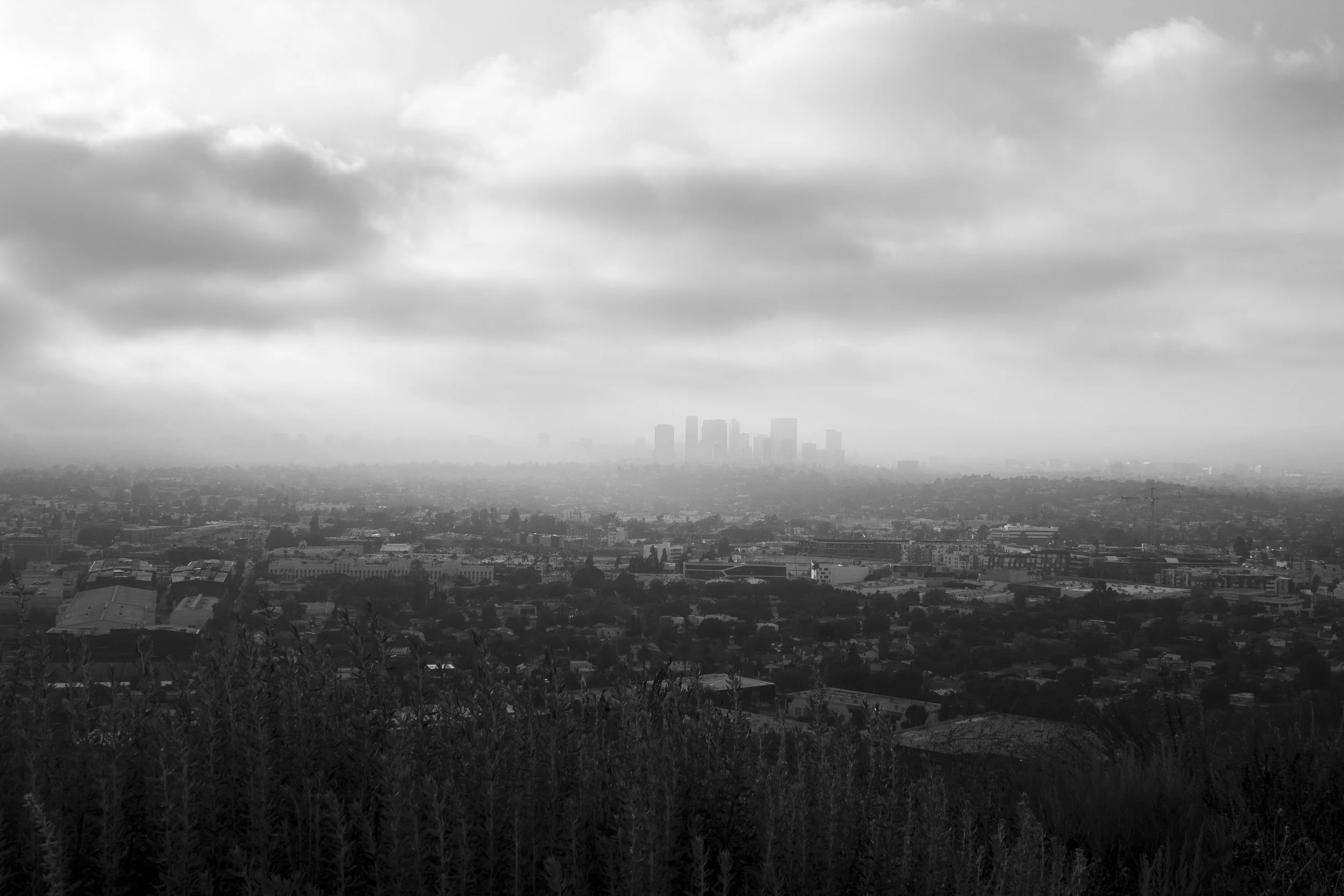 IMG_6706baldwinhills.JPG