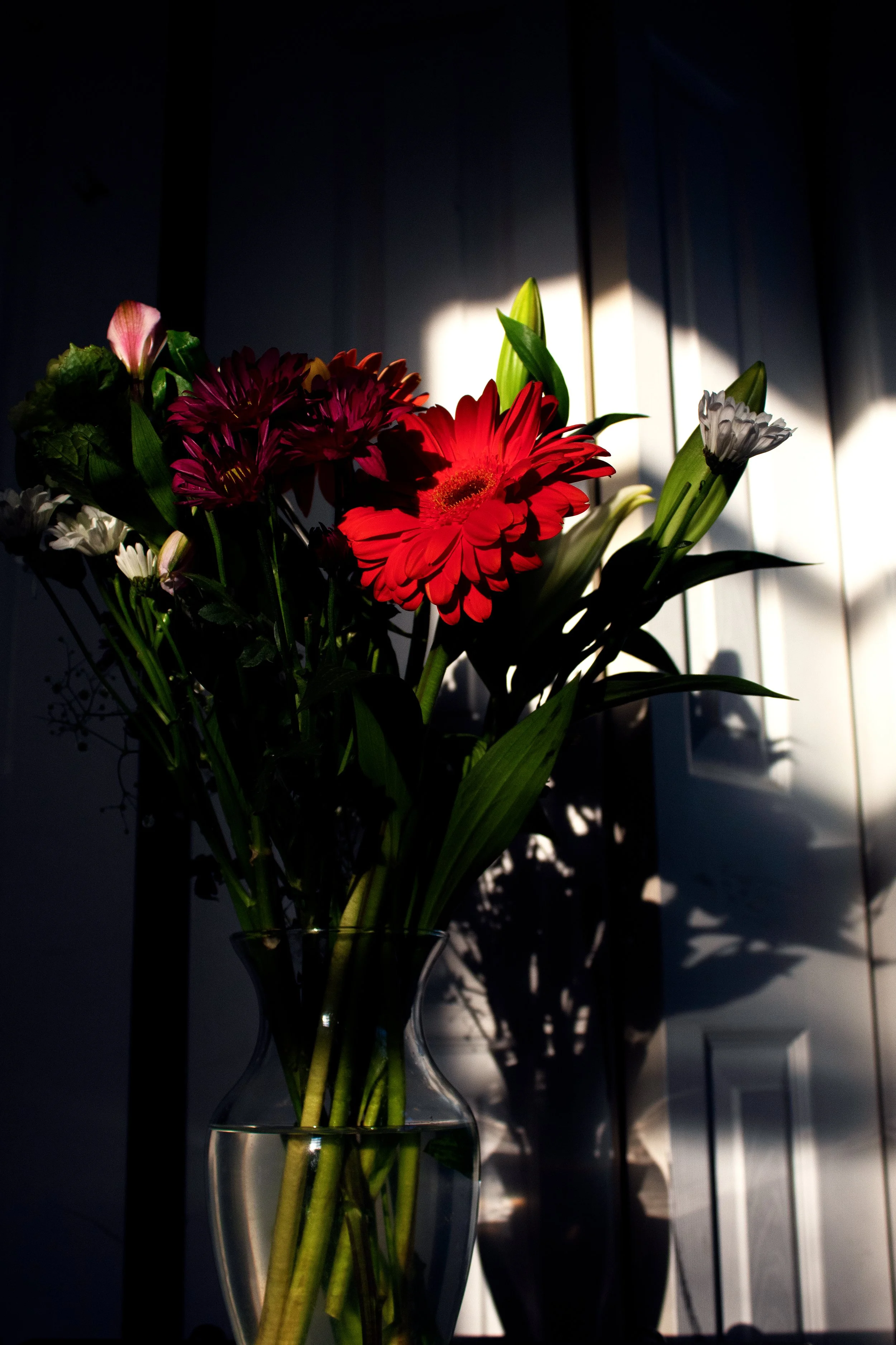flowers-closet-still-life.jpg