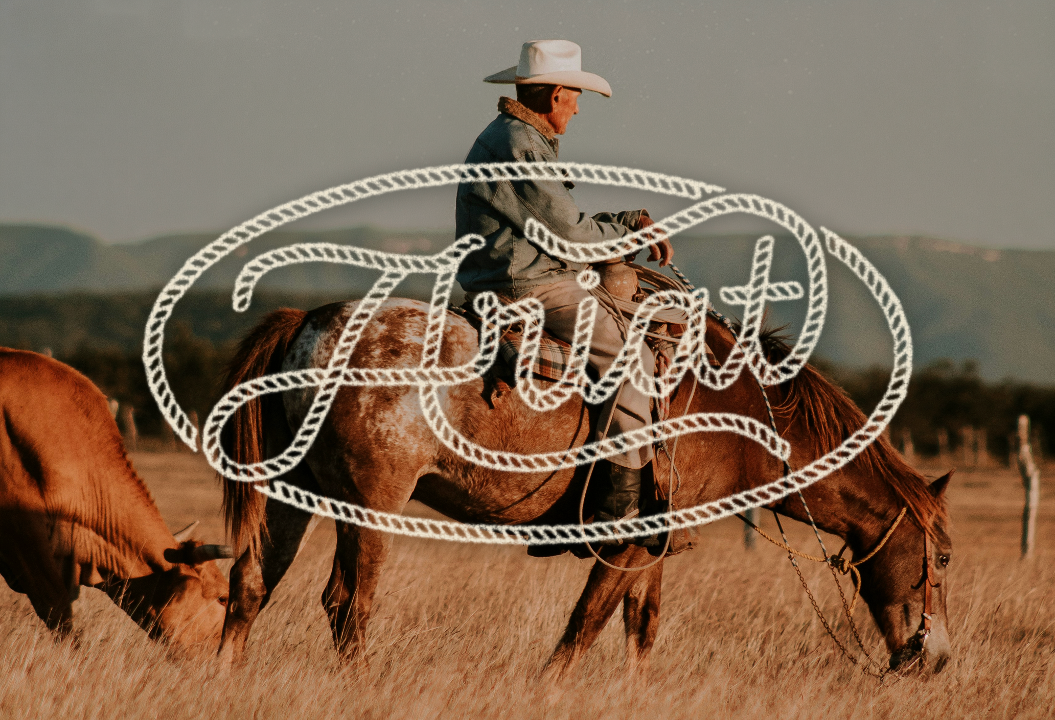 ARIAT WESTERN WEAR