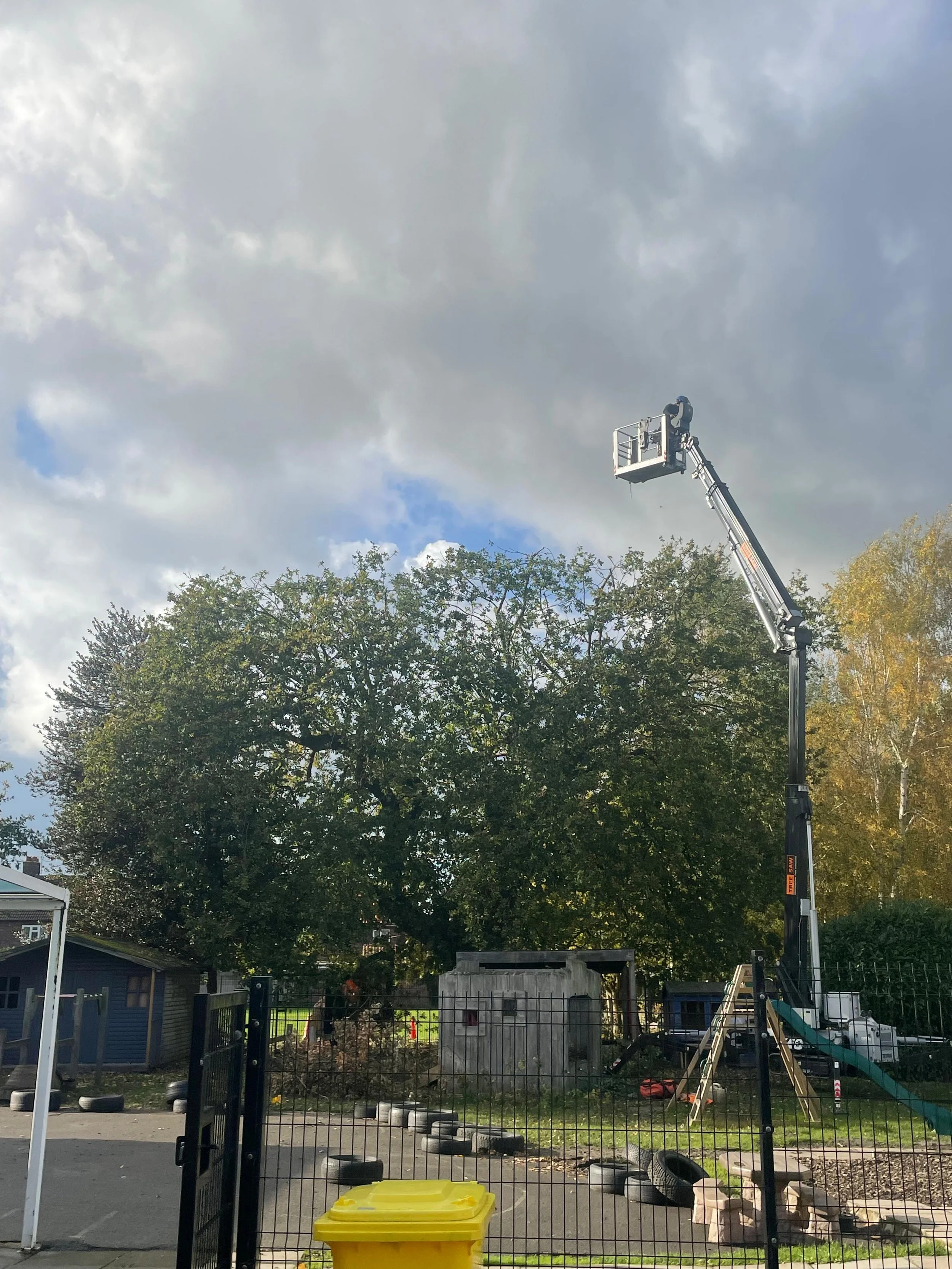A person in a cherry picker lifted high in the air trimming a large tree in a yard with a playground slide, small building, and a fenced area under a cloudy sky.