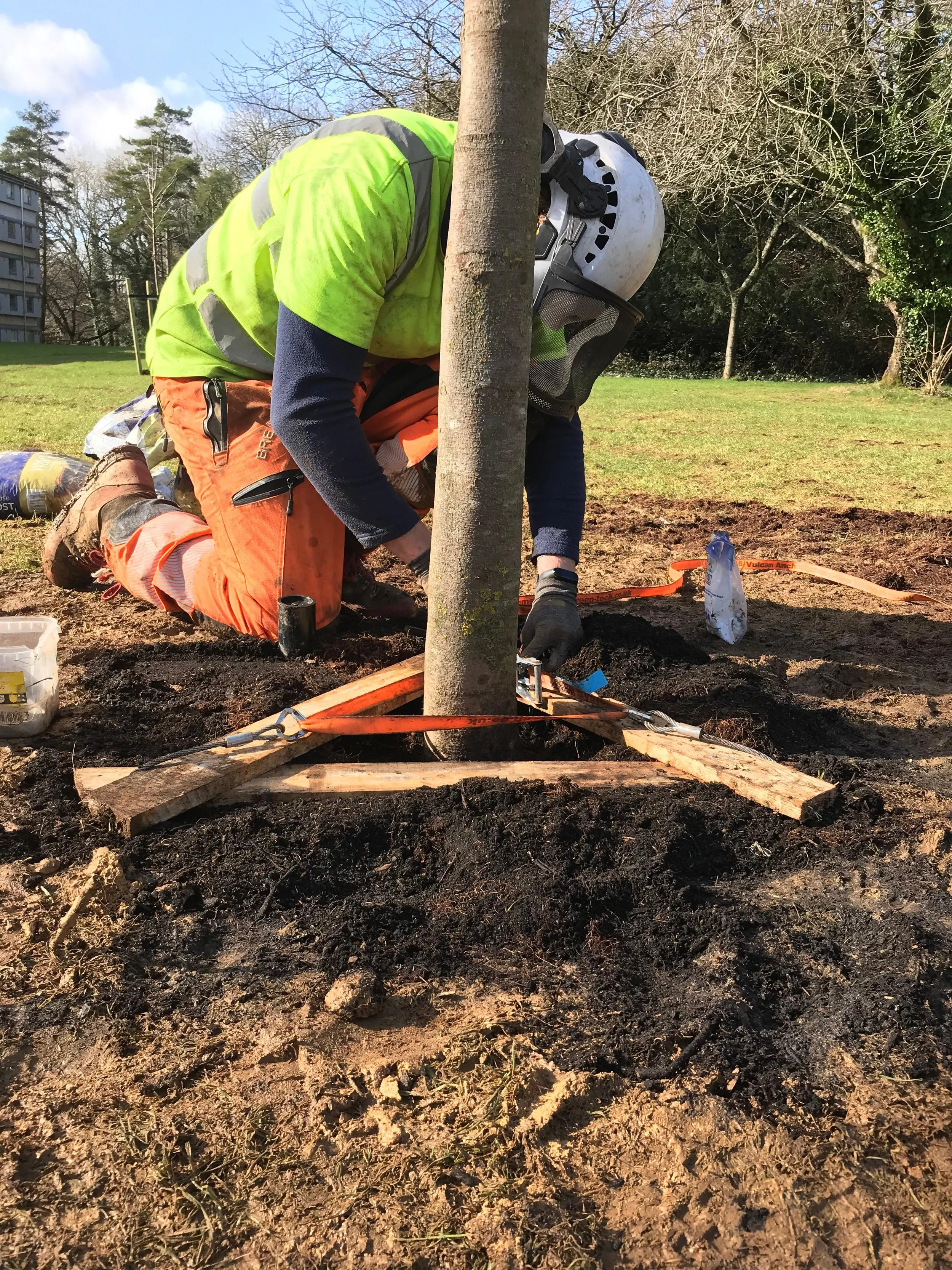 A worker kneels on the ground, installing a tree in the soil. The worker is wearing high-visibility safety gear, including a yellow safety vest, orange pants, gloves, and a helmet. The tree is secured with a wooden frame and orange straps, with tools