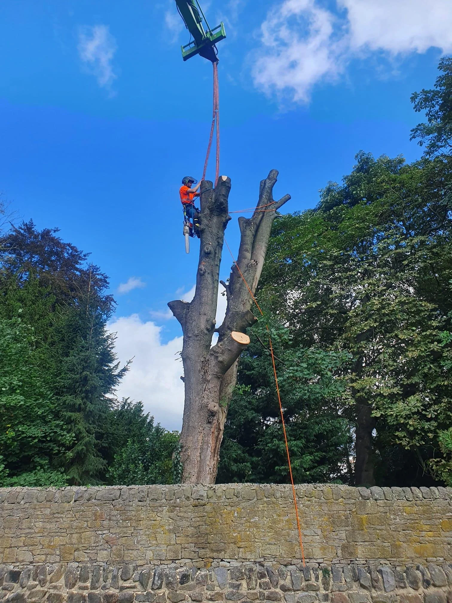 A person wearing safety gear is trimming a tall tree, using a harness and ropes, and is positioned on the tree trunk. There is an elevated platform or cherry picker above, assisting in reaching the upper branches or top of the tree. The scene is outd
