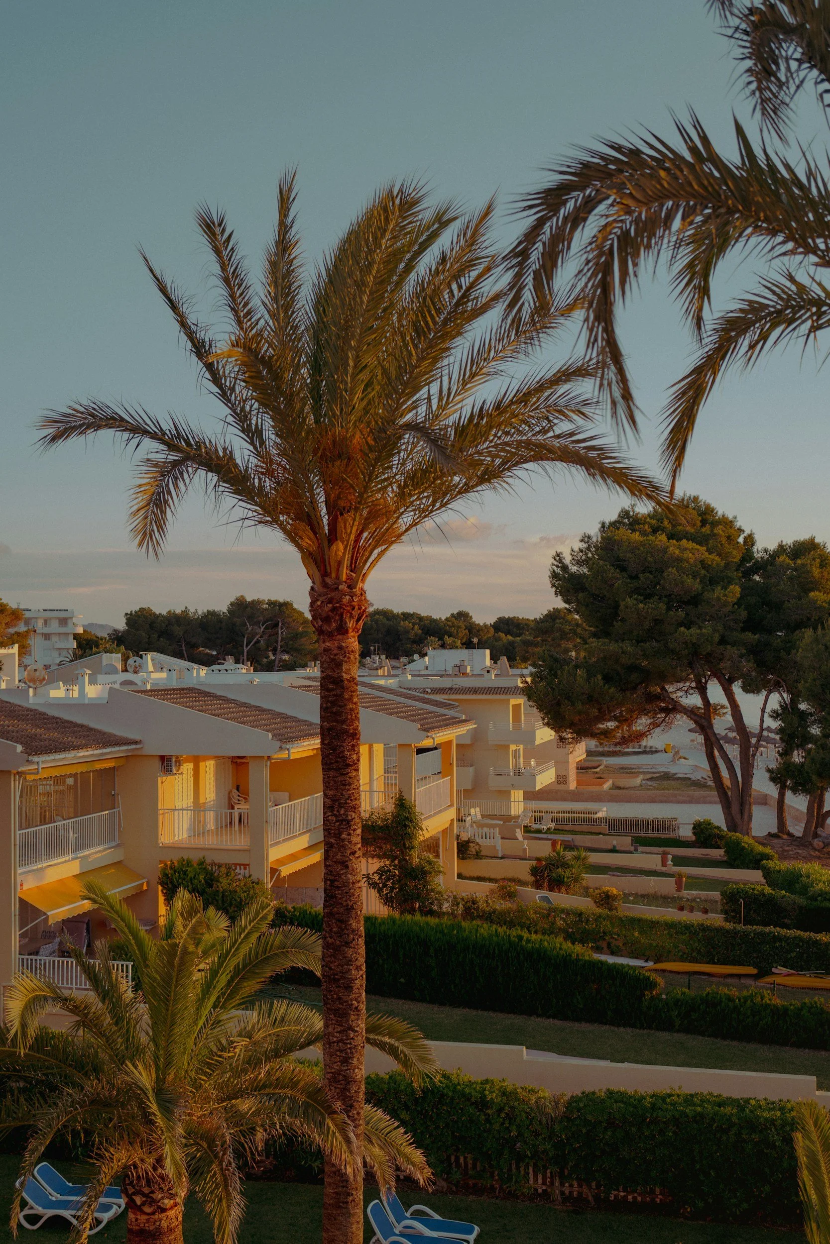 Premium Mediterranean sunset view at a luxury beach club in Mallorca, ideal for VIP corporate events.