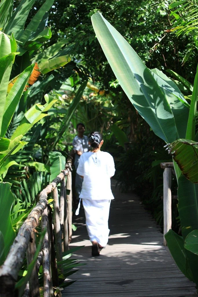 Una mujer vestida de blanco camina por un sendero de madera rodeado de vegetación tropical, con dos personas más al fondo.