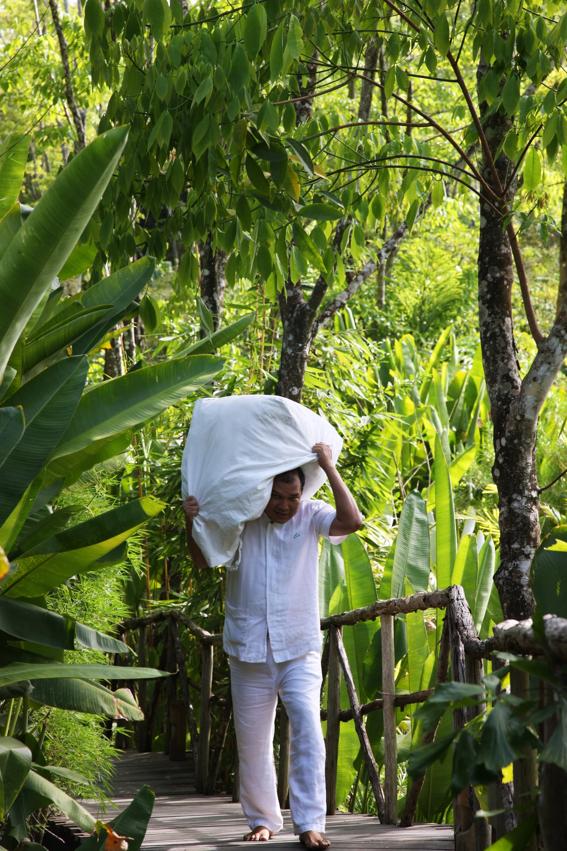 Hombre caminando por un sendero de madera en un bosque, llevando una gran bolsa blanca en los hombros, rodeado de vegetación exuberante.