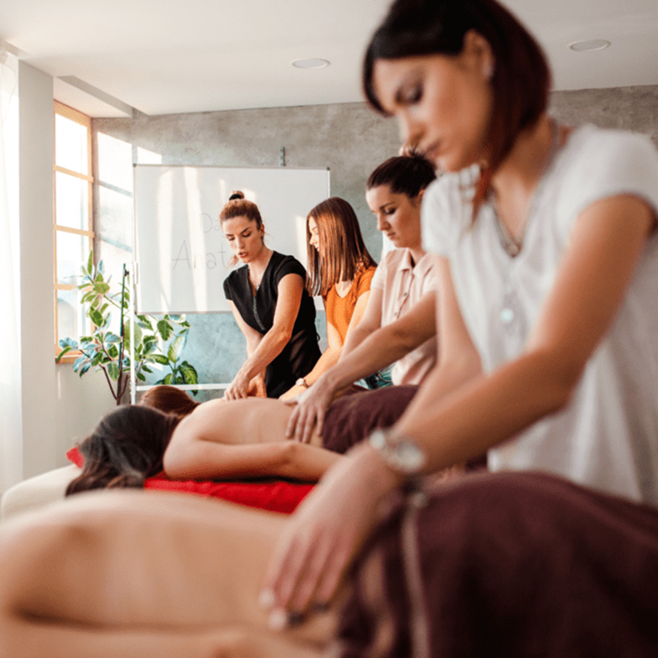 Grupo de mujeres realizando una sesión de masaje terapéutico en una habitación bien iluminada con plantas y pizarra en la pared.