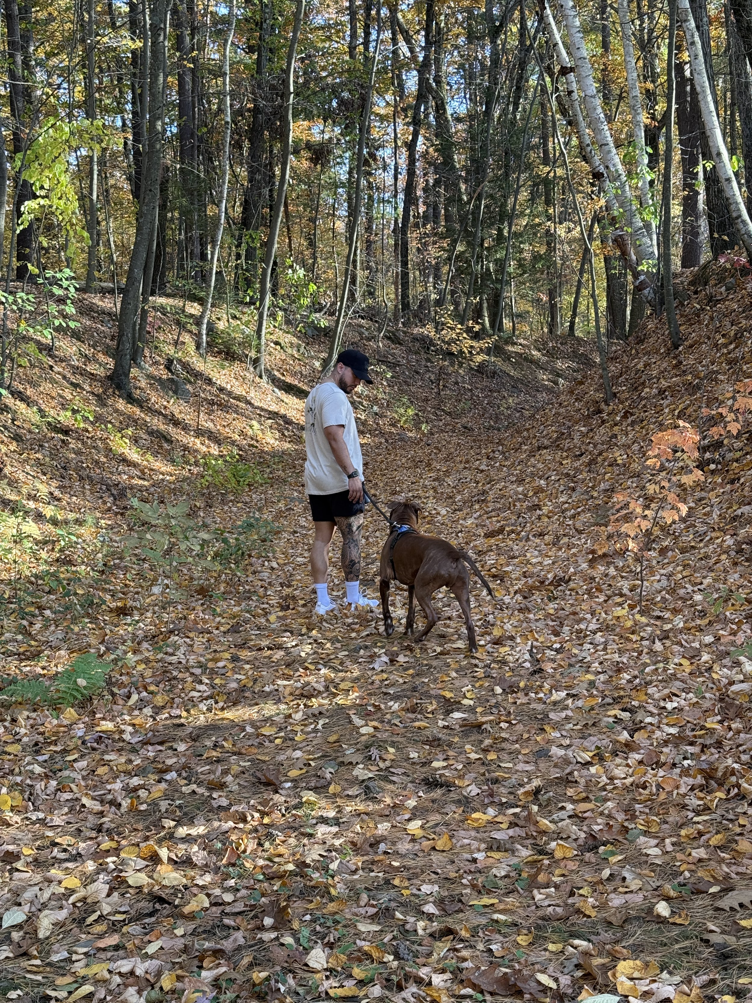 A person walking a dog along a leaf-covered trail in a forest during fall, with trees and foliage in autumn colors.