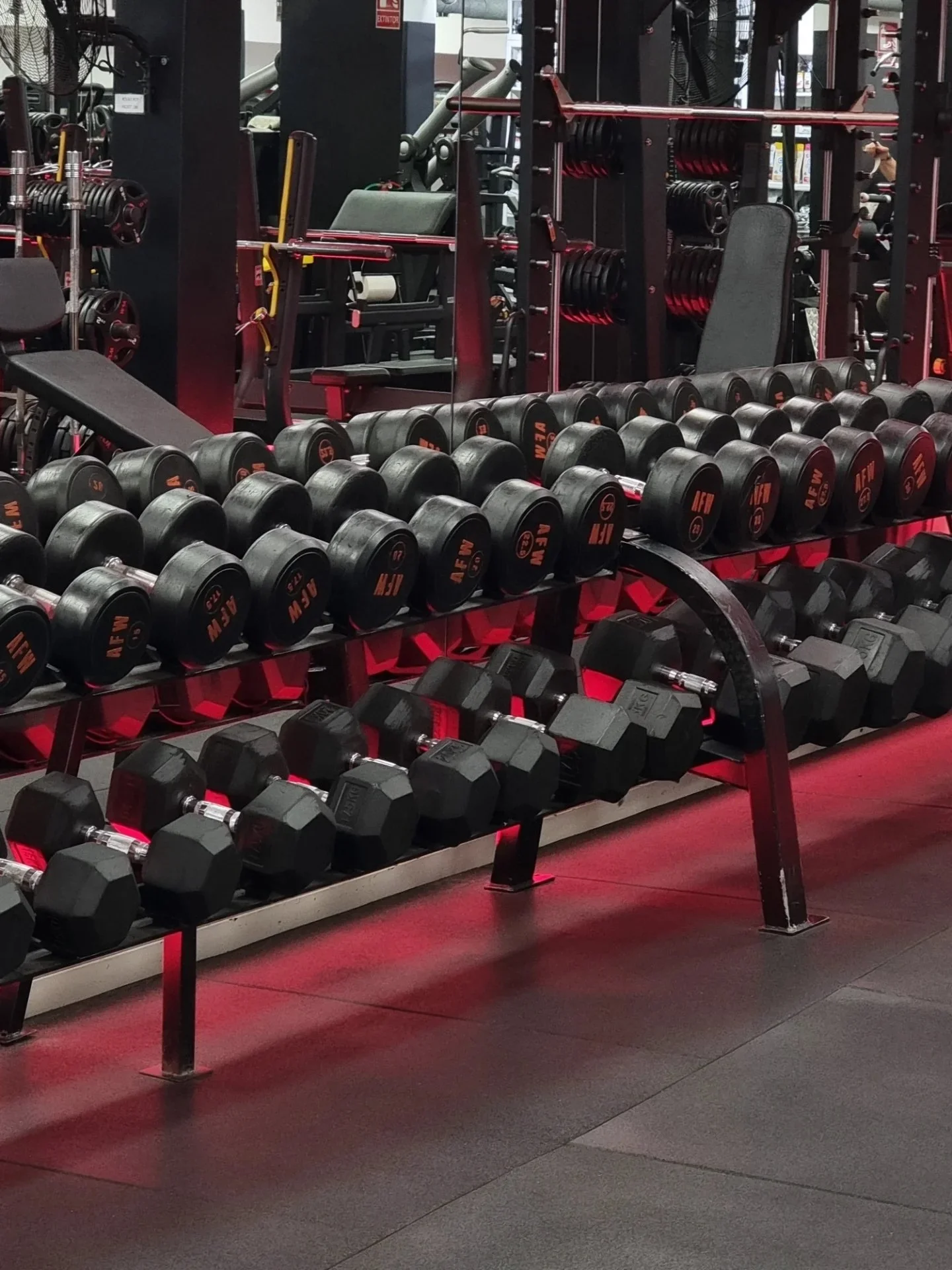 How to Build Muscle Without Spending Hours in the Gym