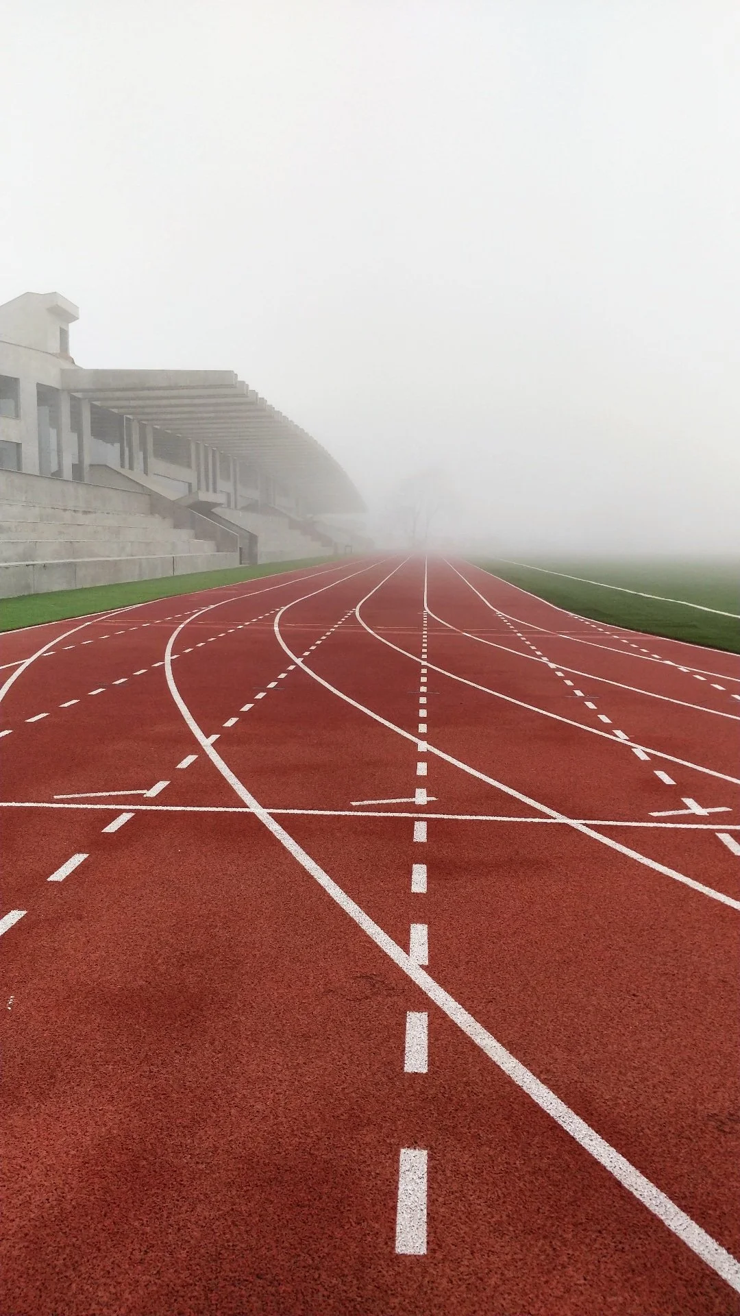 Why Training More Is Not Always Better (And What Frequency Actually Maximizes Results)