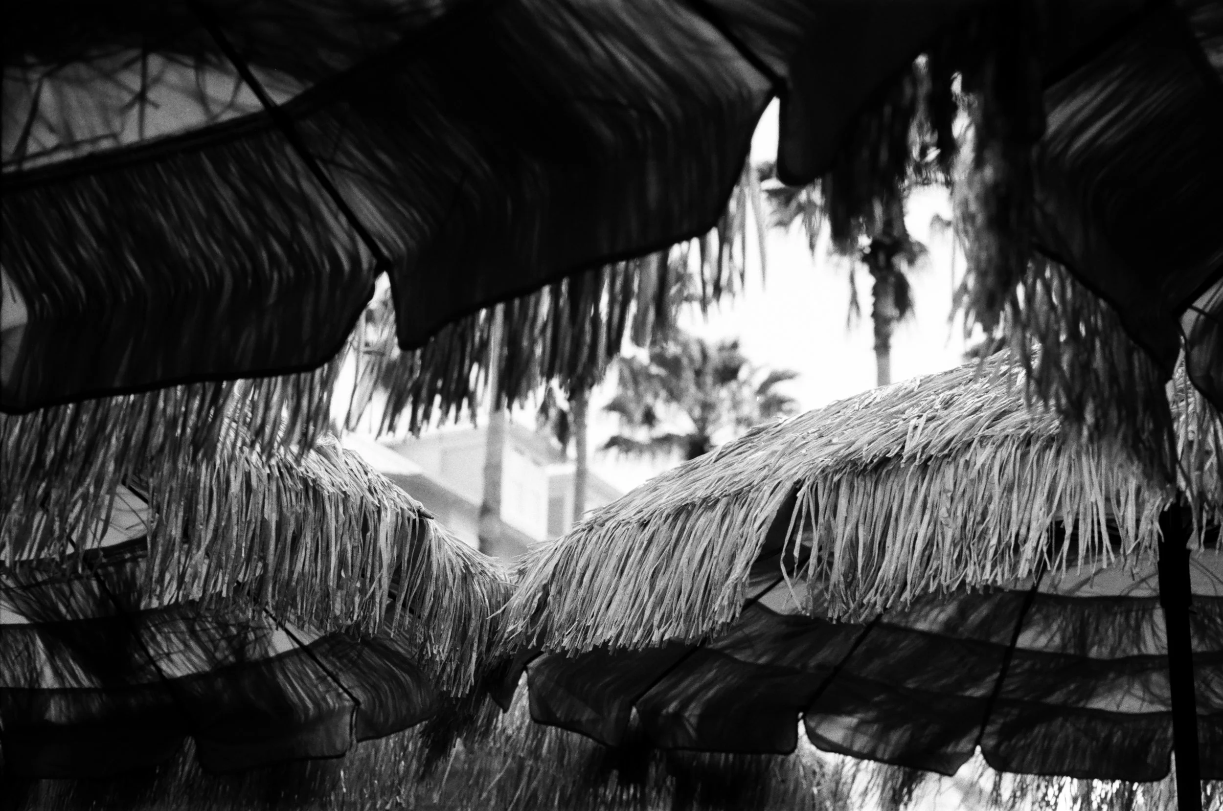 Light, Layers | Florida Gulf Coast