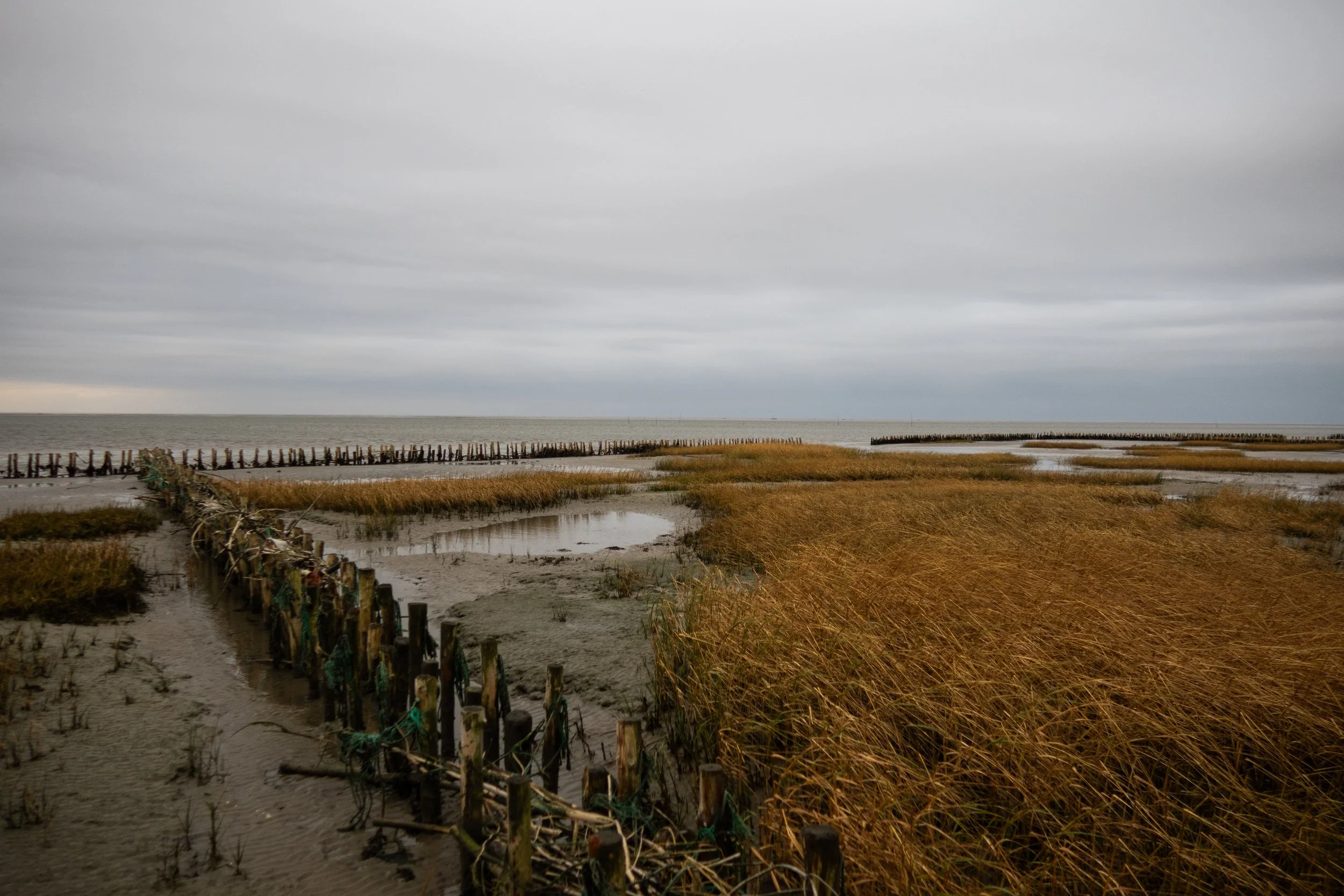 Wadden Sea, Ribe, Denmark