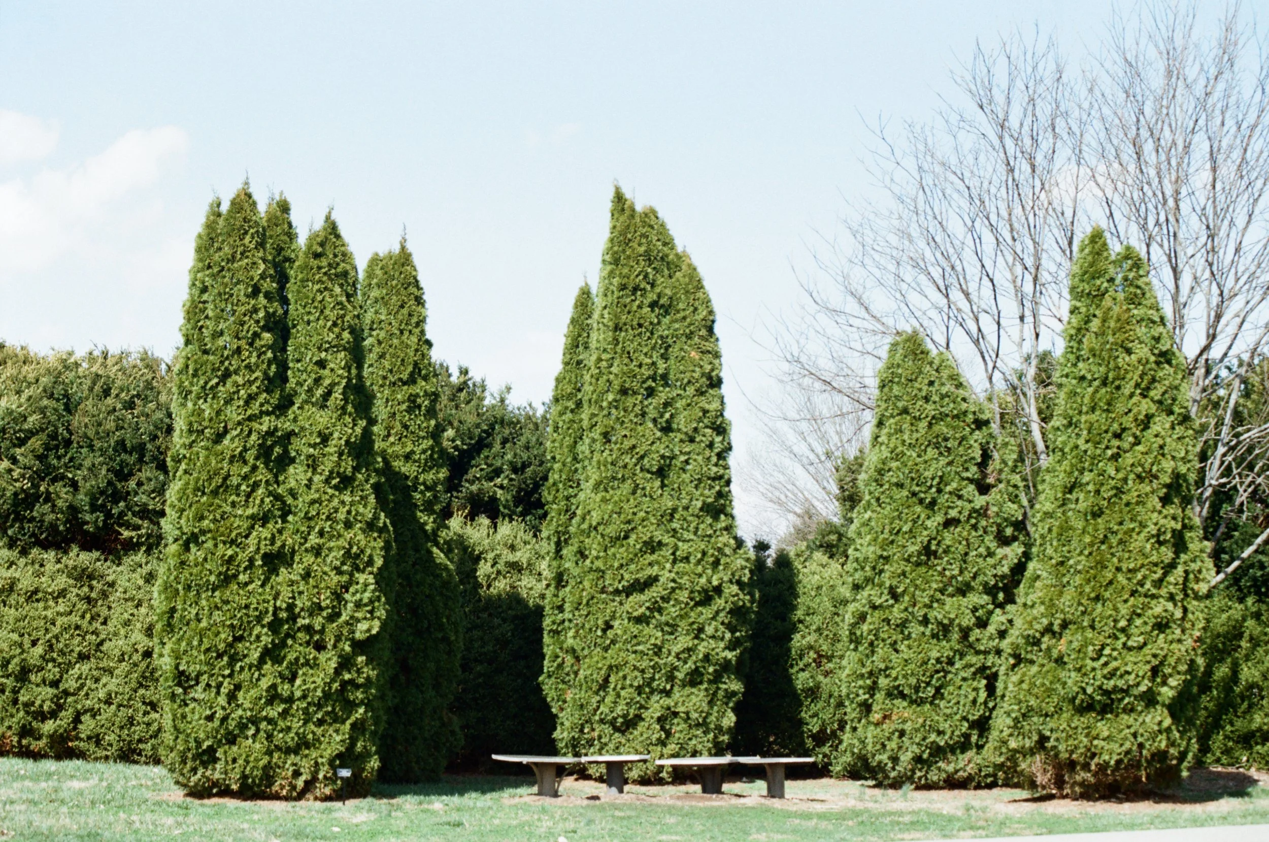 Spring Signs of Life