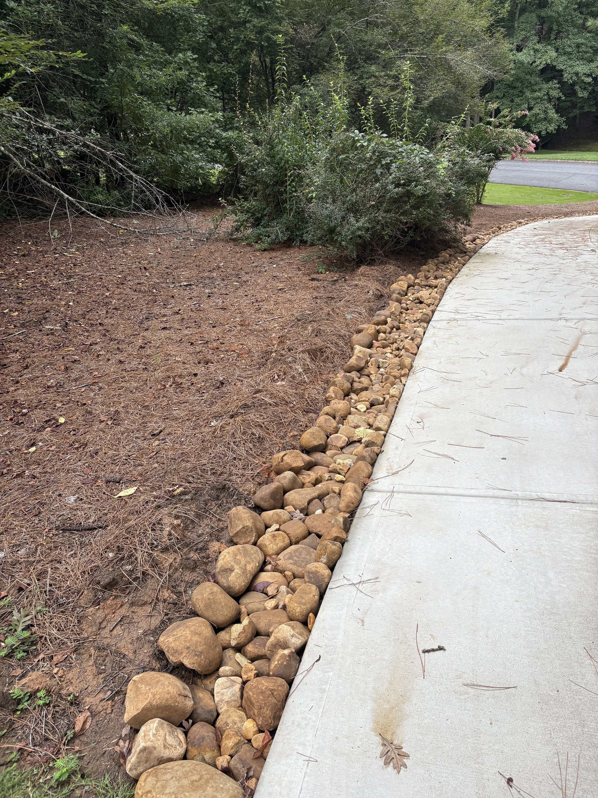Curved sidewalk with a border of large rocks separating it from a mulched, sparse garden area with bushes and trees in the background.