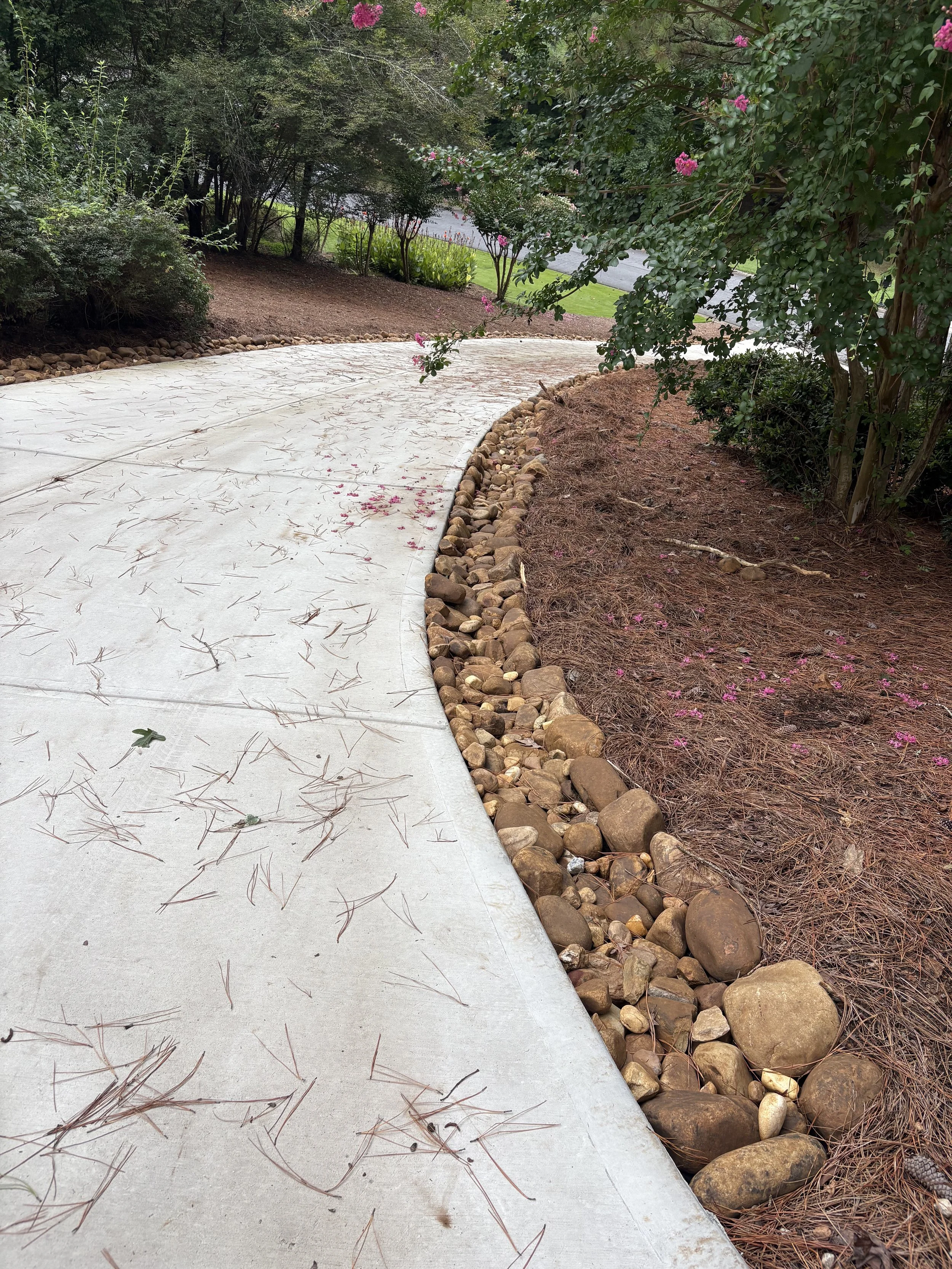 A concrete sidewalk bordered with small and large rocks, surrounded by trees and flowering bushes, with pink petals scattered on the ground.