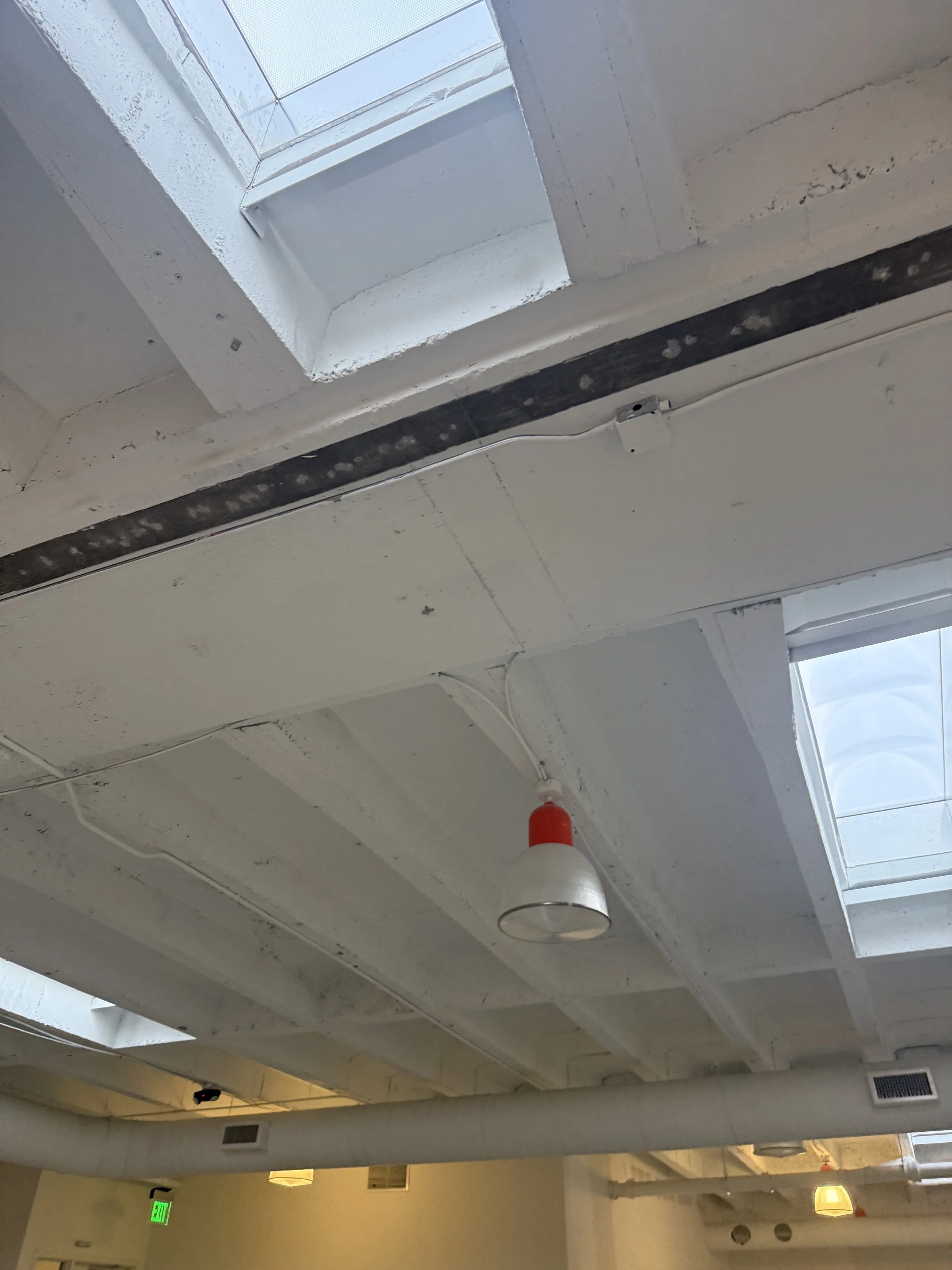 Ceiling with skylights, white paint, exposed pipes, a hanging light fixture, and an emergency exit sign.