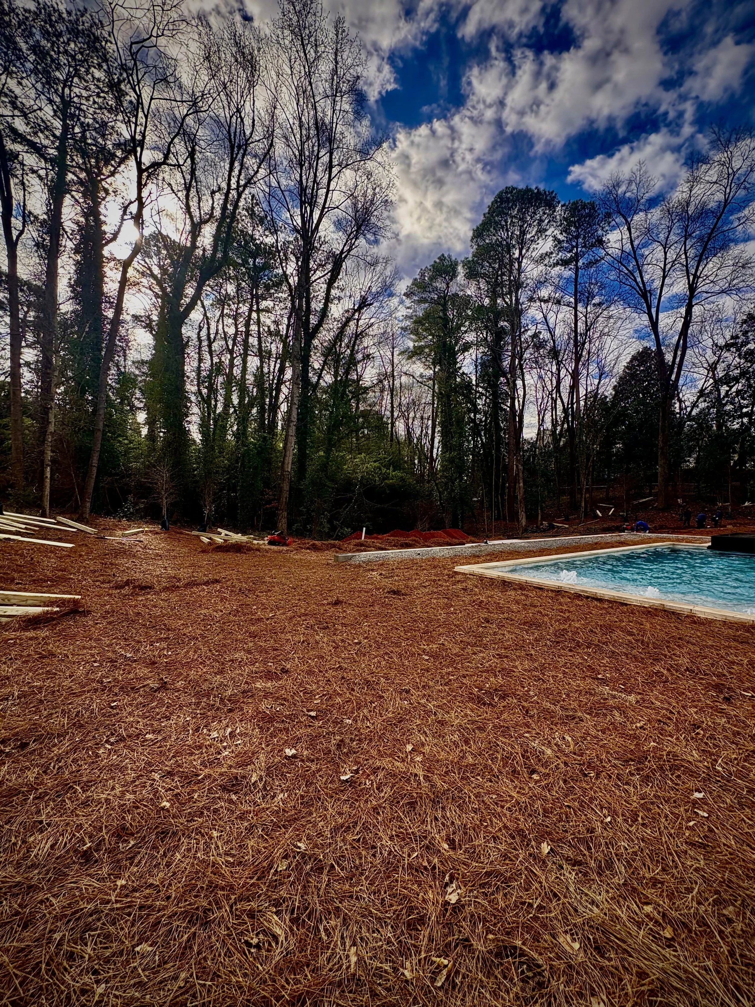 A backyard with a small swimming pool on the right, surrounded by reddish-brown pine needles and sparse grass, with tall leafless trees and a partly cloudy sky overhead.
