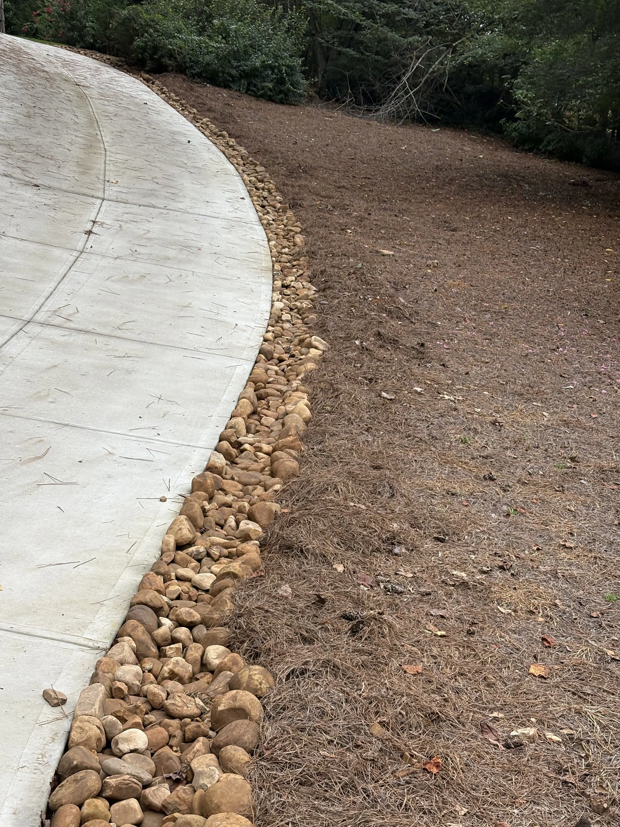 Curved concrete pathway bordered by small rocks on one side and dry soil with scattered leaves on the other, surrounded by trees and shrubs.