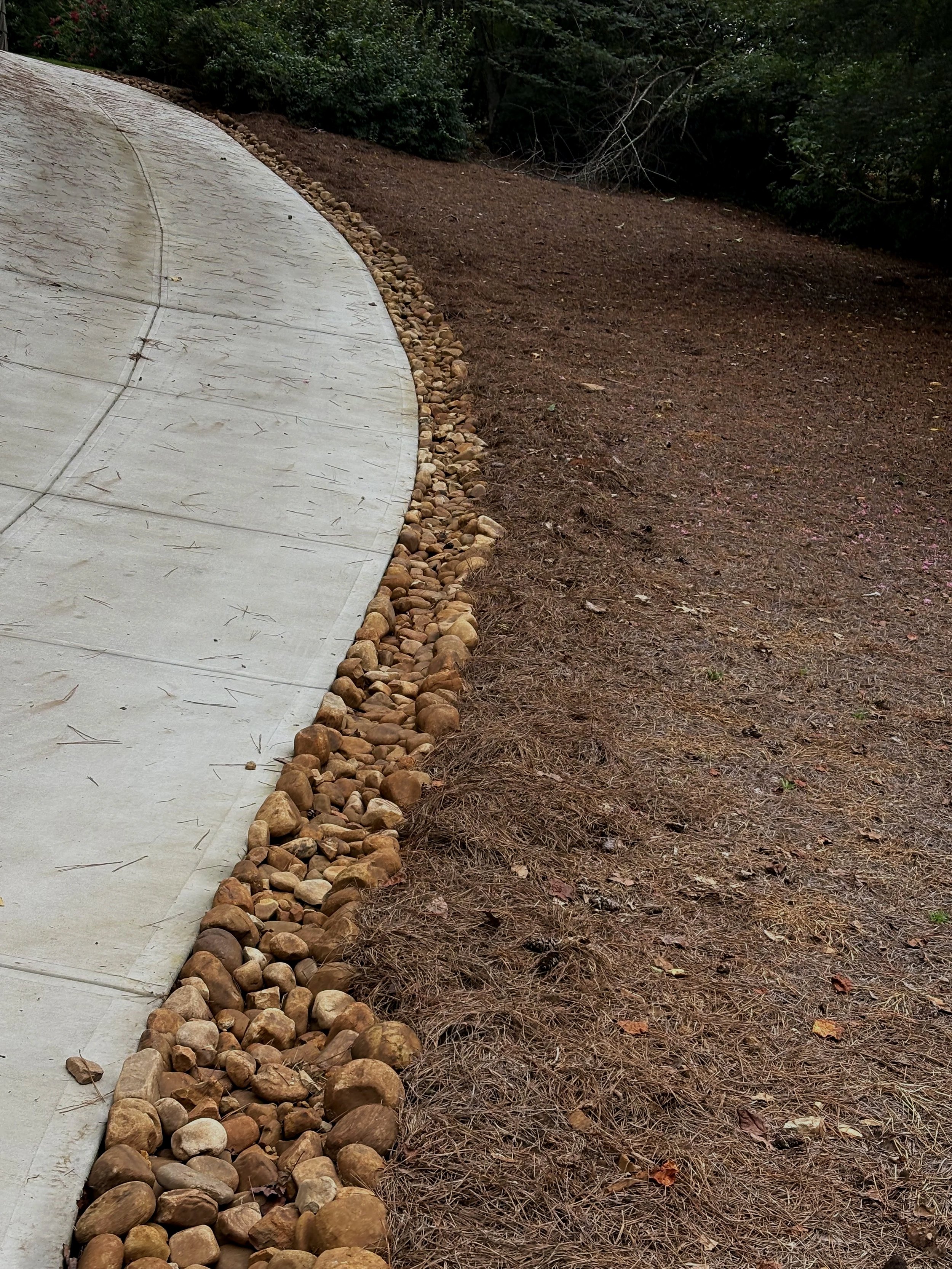 Curved concrete pathway bordered by small rocks on one side and dry soil with scattered leaves on the other, surrounded by trees and shrubs.
