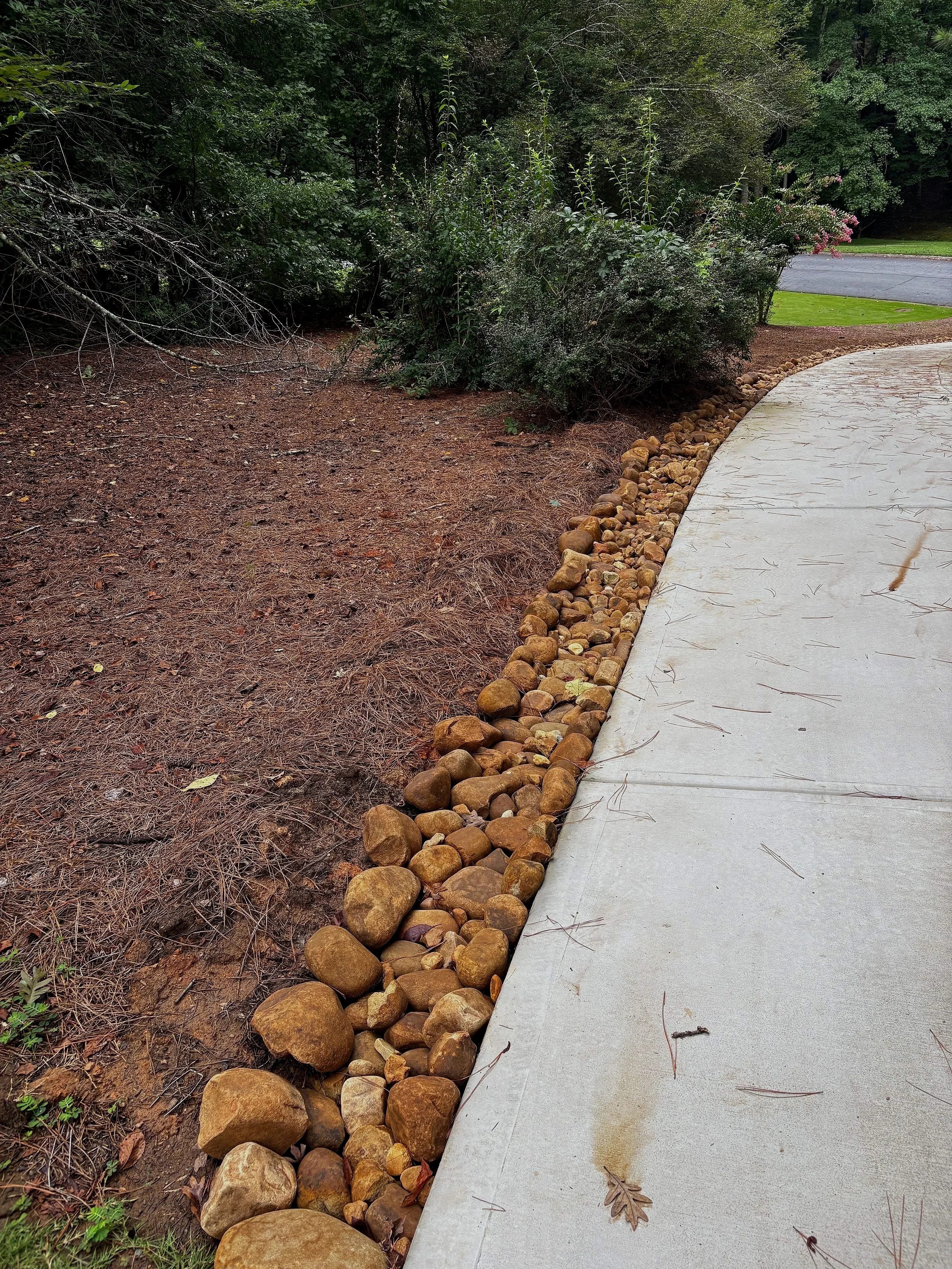 Curved sidewalk with a border of large rocks separating it from a mulched, sparse garden area with bushes and trees in the background.