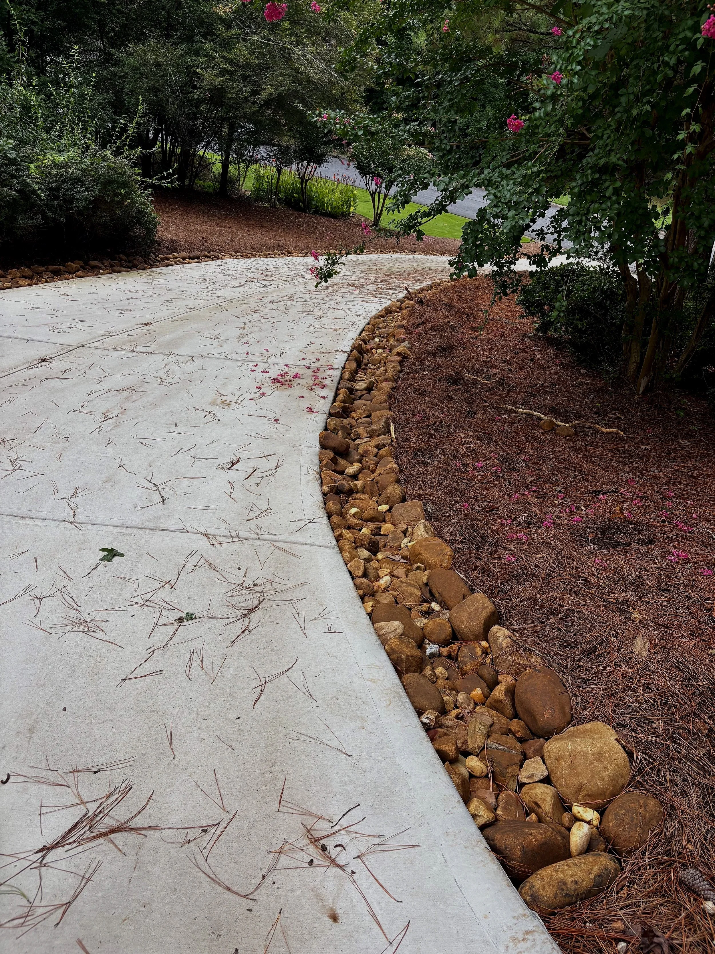 A concrete sidewalk bordered with small and large rocks, surrounded by trees and flowering bushes, with pink petals scattered on the ground.