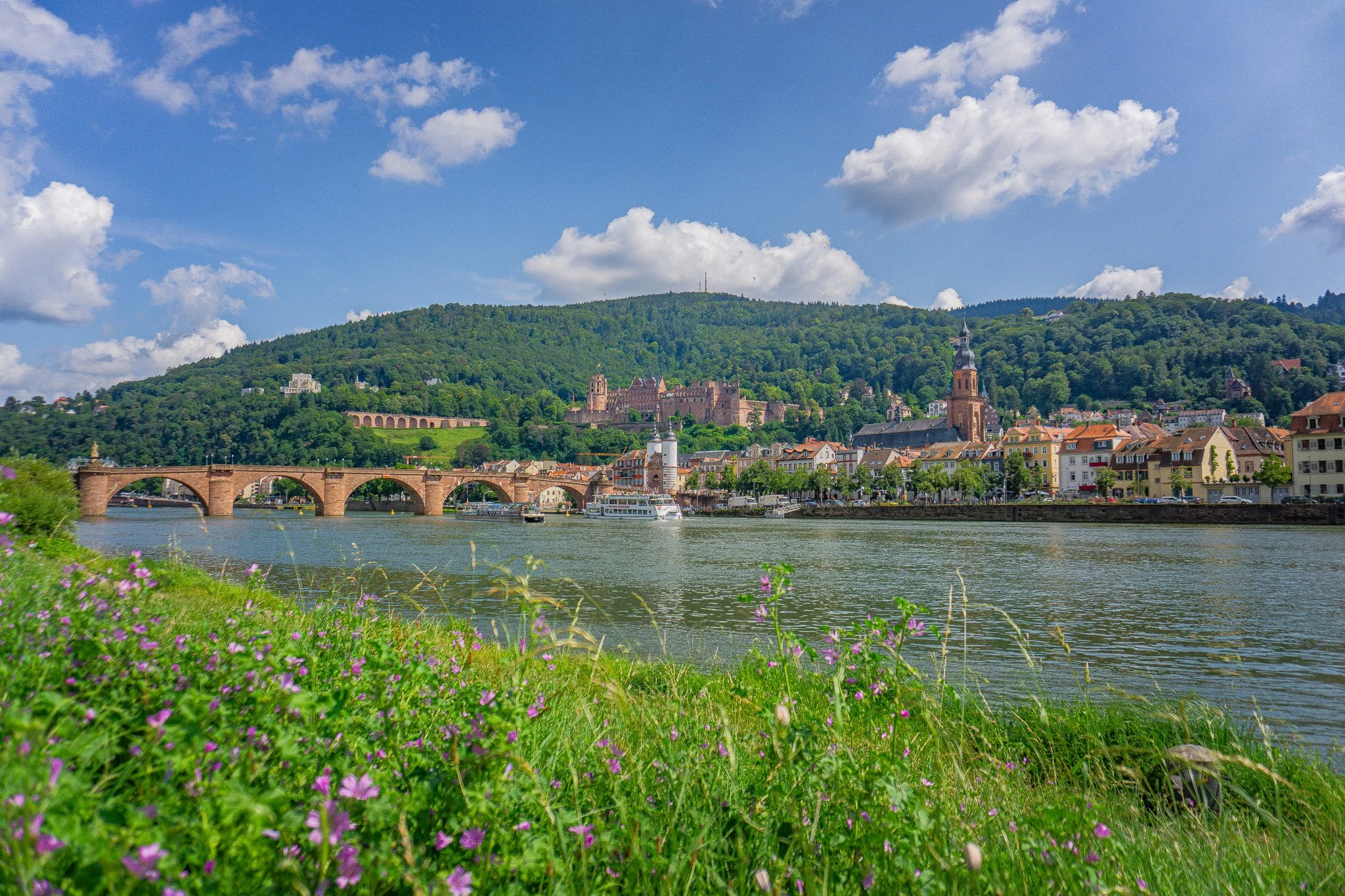 View of heidelberg, baden-württemberg - 2024