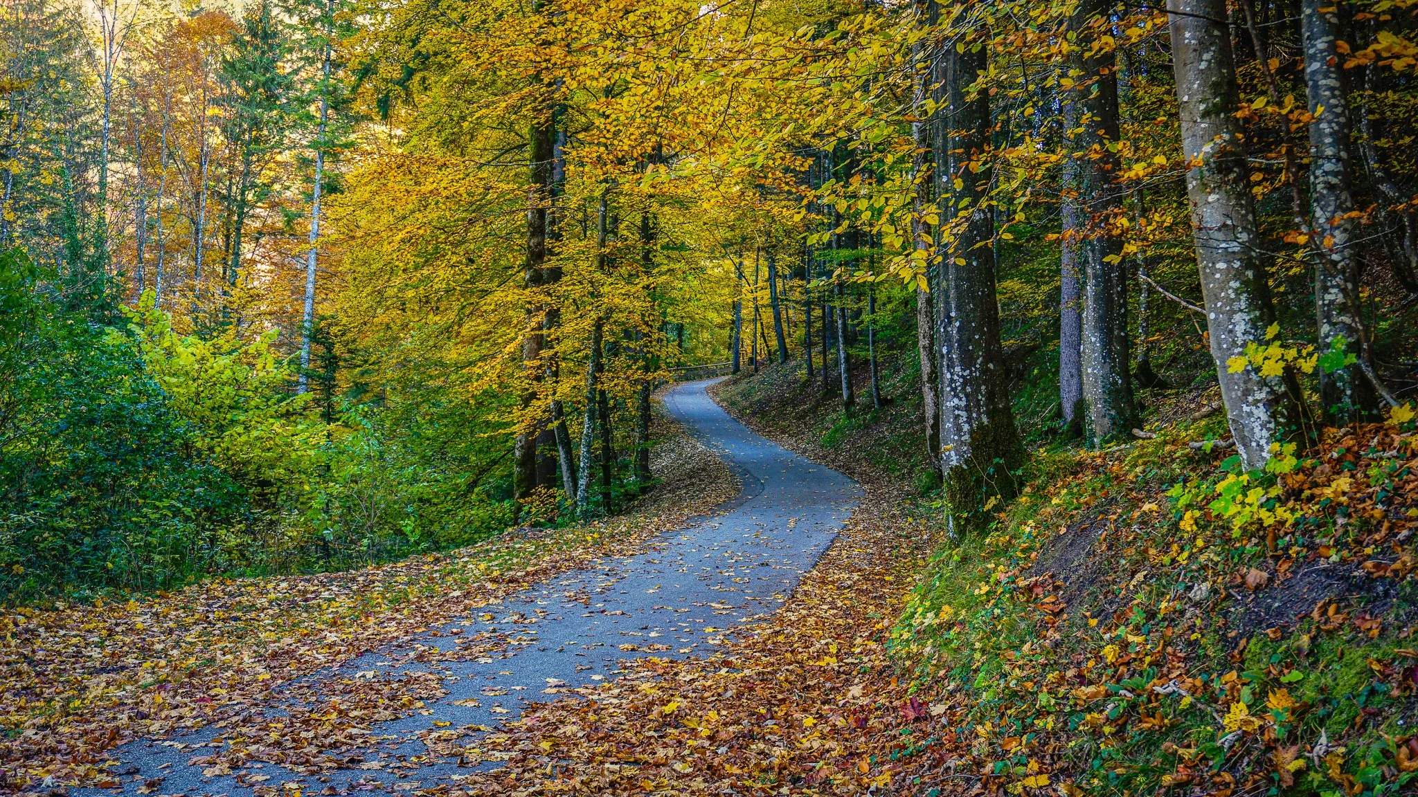 Autumn in bayerisch gmain, berchtesgadener land, bavaria - 2021