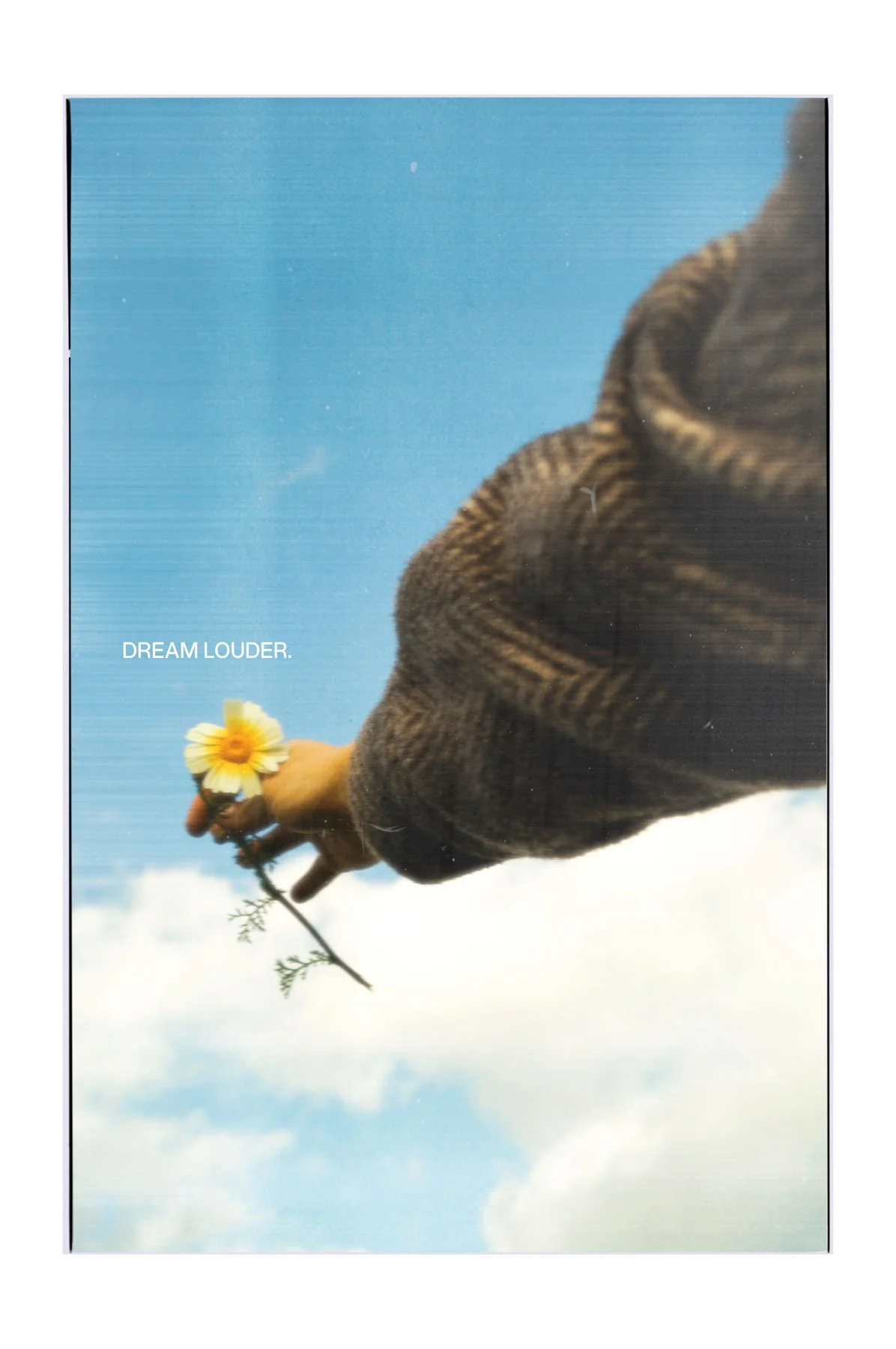 A person holding a yellow flower with a blue sky and clouds in the background, wearing a brown patterned long sleeve shirt. The text on the image reads "DREAM LOUDER."