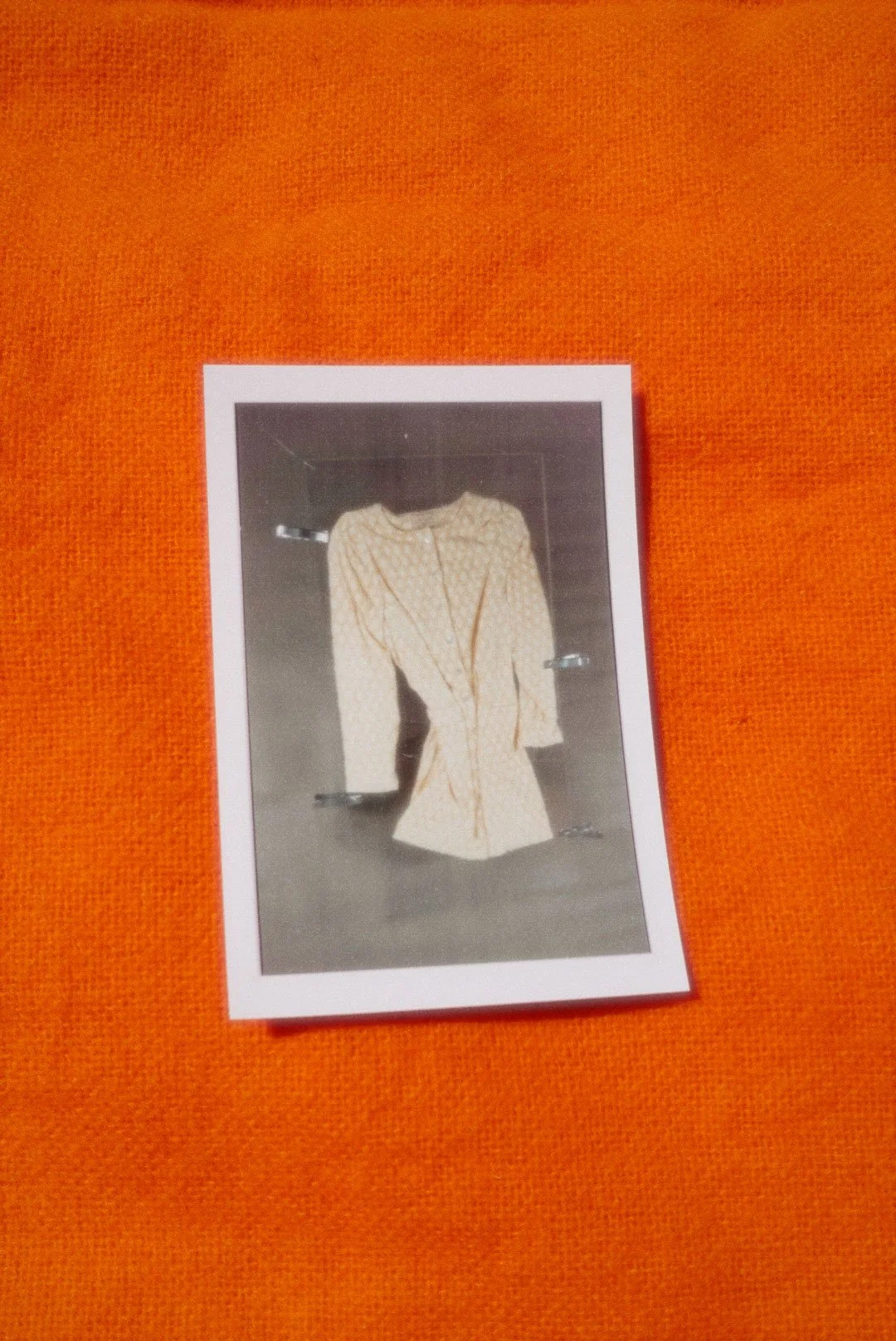 Photograph of a beige patterned coat hanging on a display mannequin in a store, with black background and shelves.