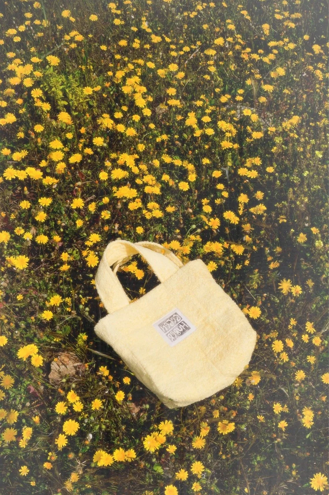 Yellow tote bag lying on a field of yellow flowers