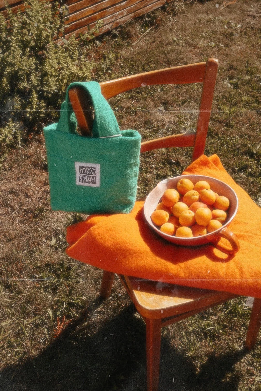 A wooden chair with an orange cushion, a green tote bag hanging on the backrest, a bowl of yellow apricots on the seat, and an outdoor grassy area.