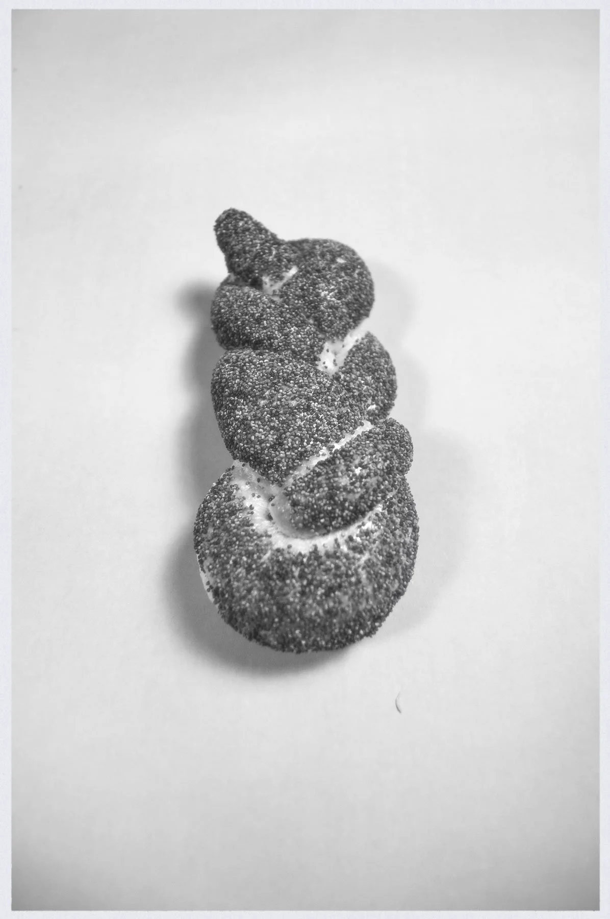 Black and white photo of a pretzel with salt crystals on its surface, positioned vertically on a plain background.
